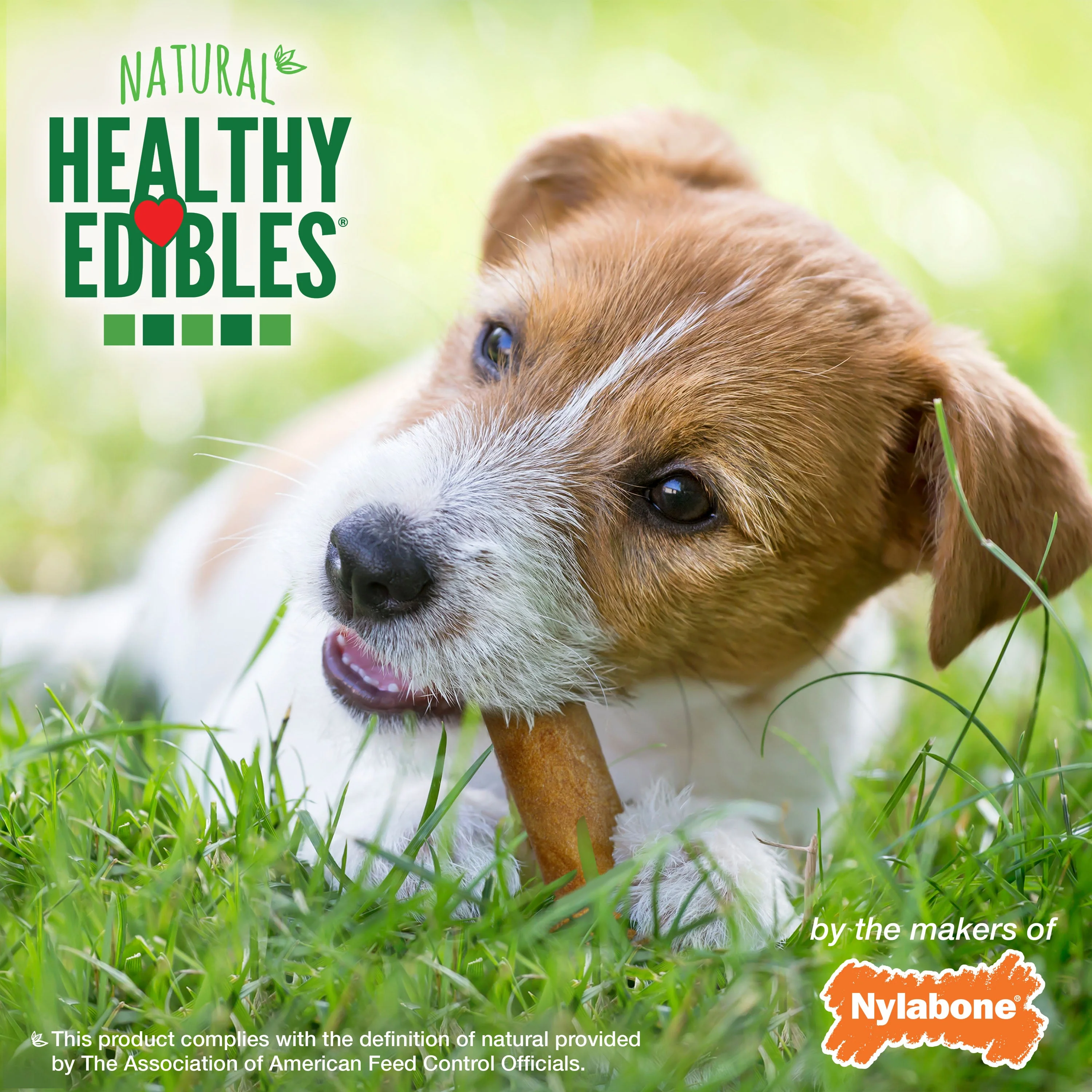 Nylabone Healthy Edibles AllNatural Long Lasting Roast Beef and Chicken Dog Chew Treats Variety, SMall/Regular Up To 25 Ibs. 12 ct - Image 5