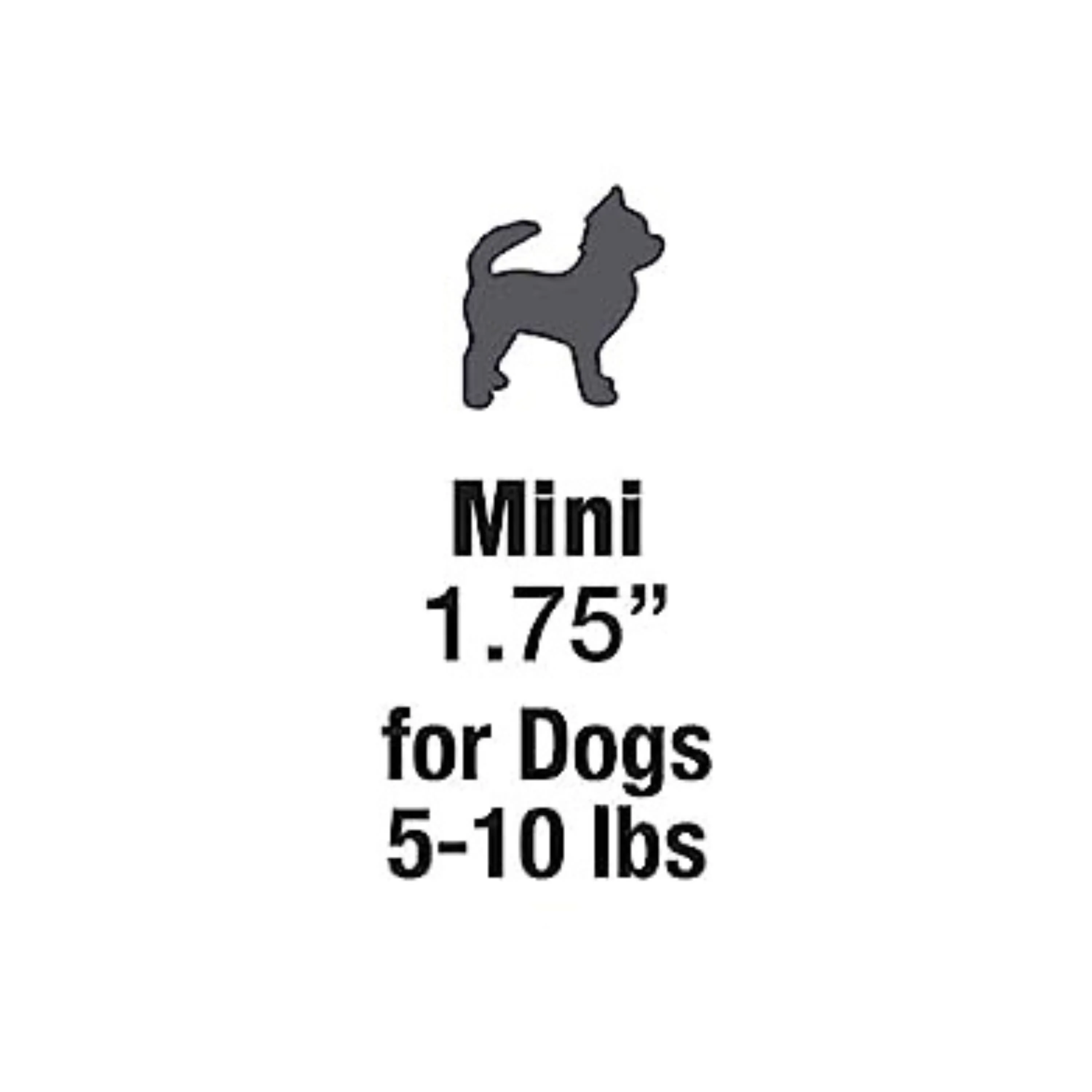 Nylabone Nutri Dent Filet Mignon Dog Dental Chews Filet Mignon 1ea/Mini - 5 Lbs. To 10 lb - Image 12