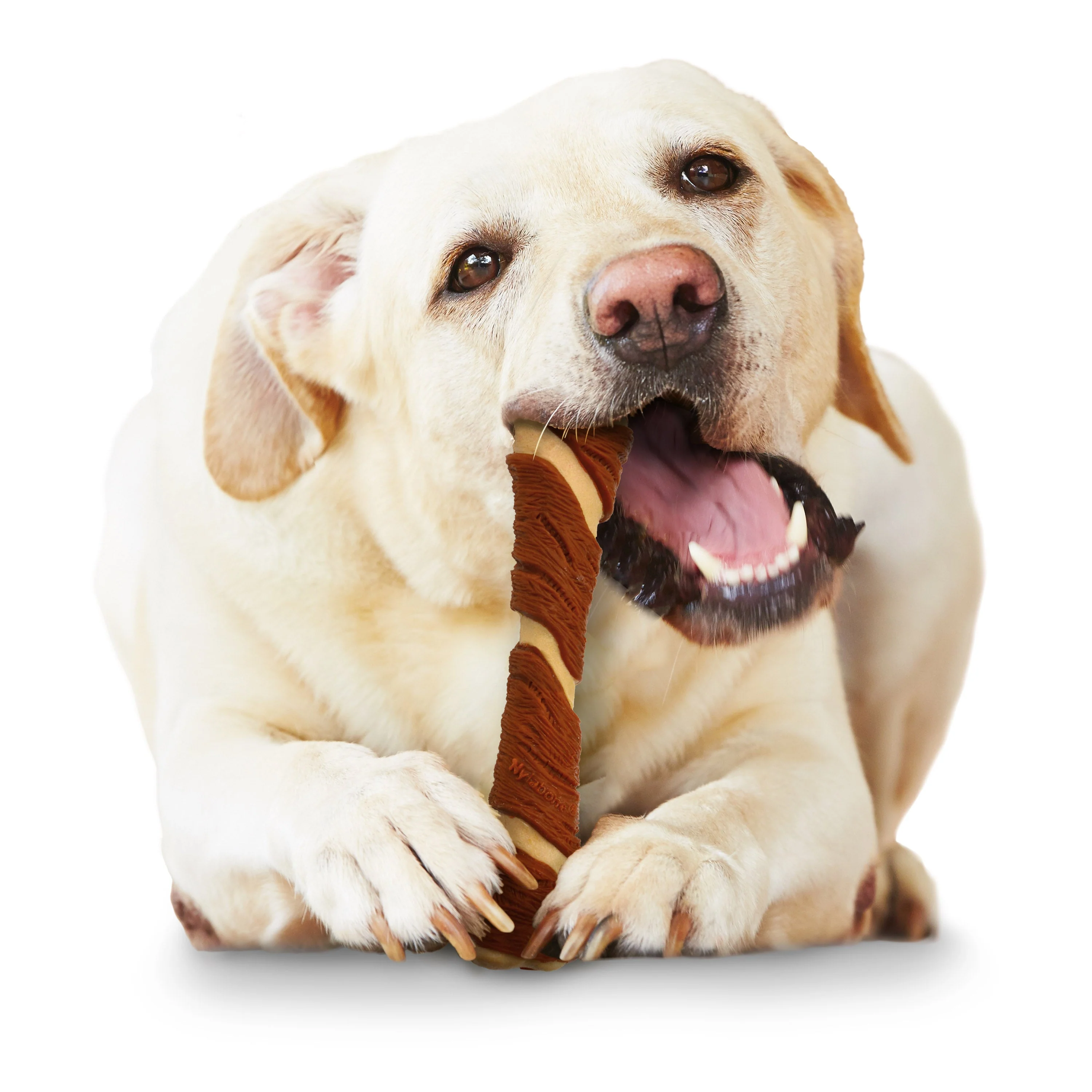 Nylabone Power Chew Pork Hide Alternative Dog Chew Toy Bacon & Peanut Butter 1ea/Large/Giant - Up To 50 lb - Image 3