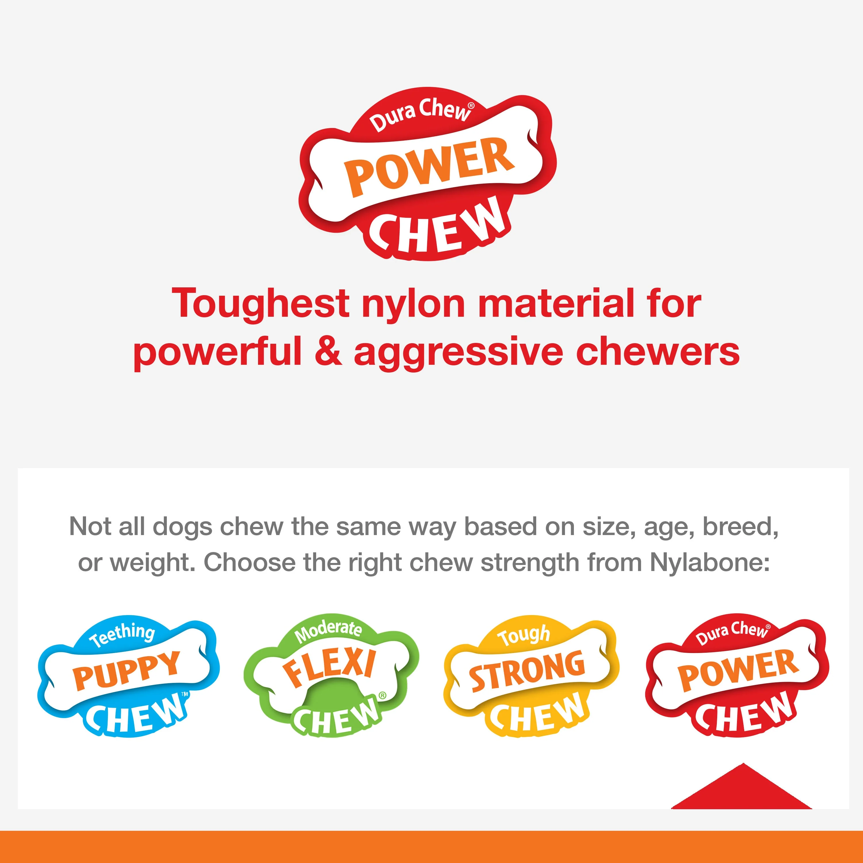Nylabone Power Chew Broccoli Dog Toy Bacon  Cheese, 1ea/Large/Giant  Up To 50 Lbs. 1 ct - Image 7