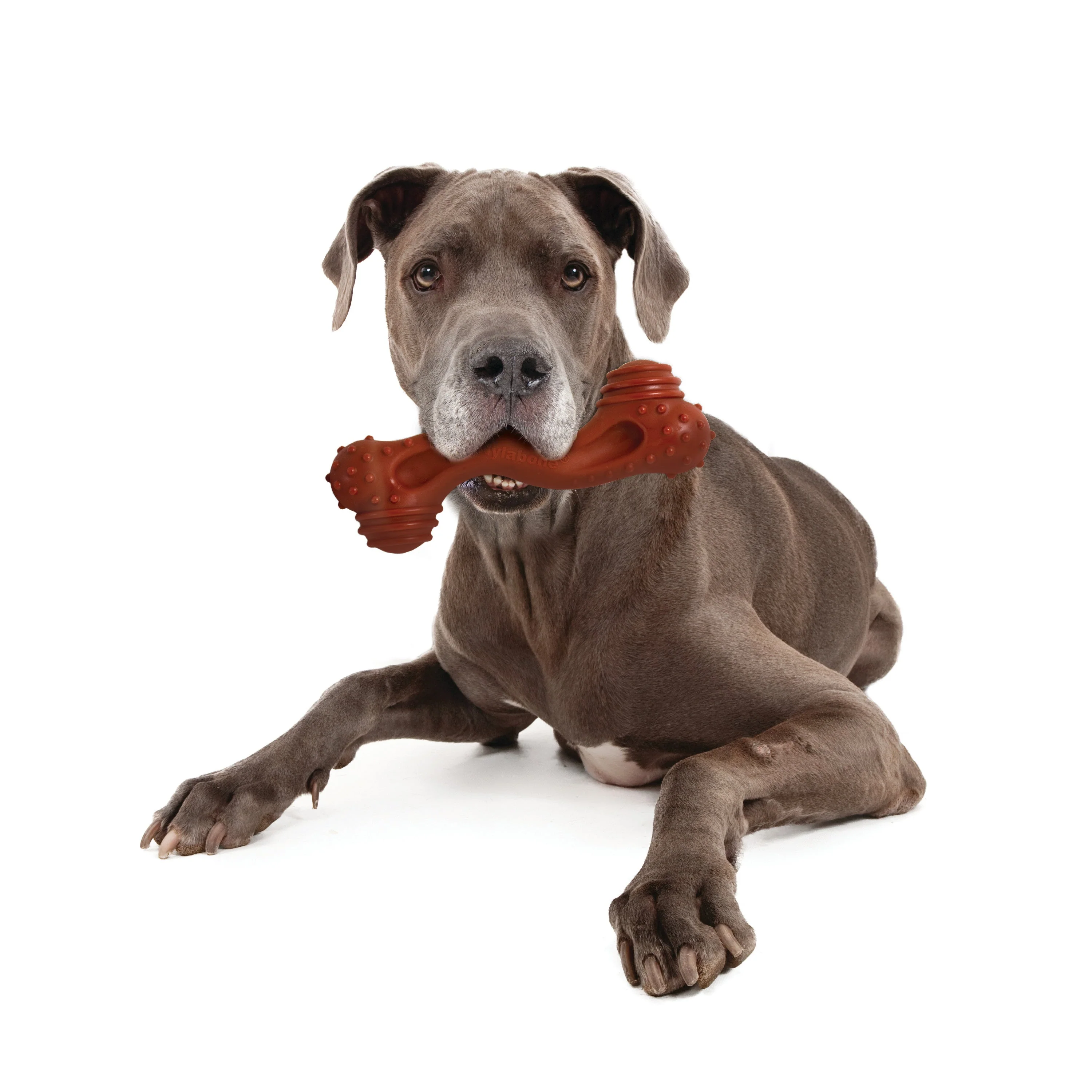 Nylabone Power Chew Monster Curve Bone Big Dog Chew Toy Bison 1ea/XXL/Monster - 50++ lb - Image 2