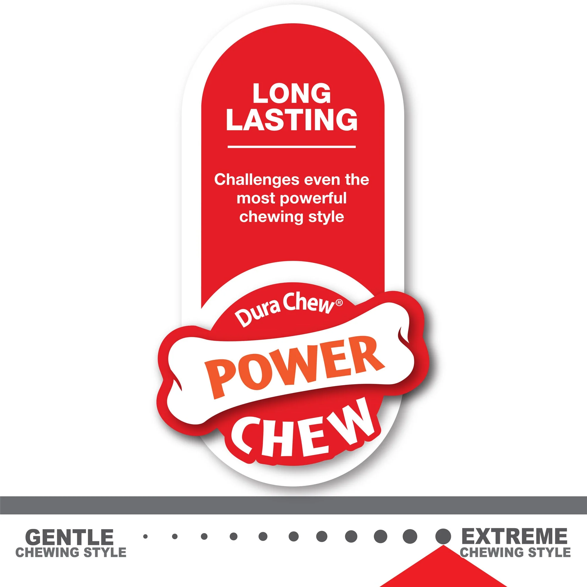 Nylabone Power Chew Shish Kabob Alternative Nylon Chew Toy Chicken Jerky Large/Giant - Up To 50 lb (Single Chew) - Image 9