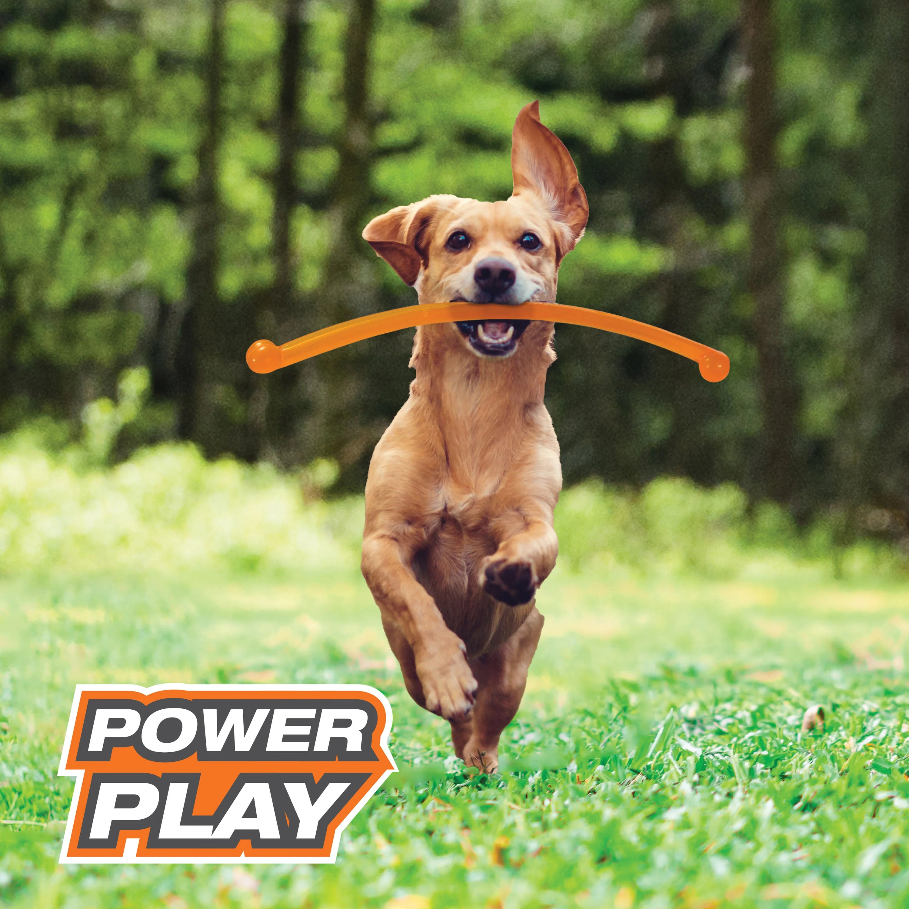 Nylabone Power Play Crazy Stick Dog Toy 1ea/1 ct - Image 3