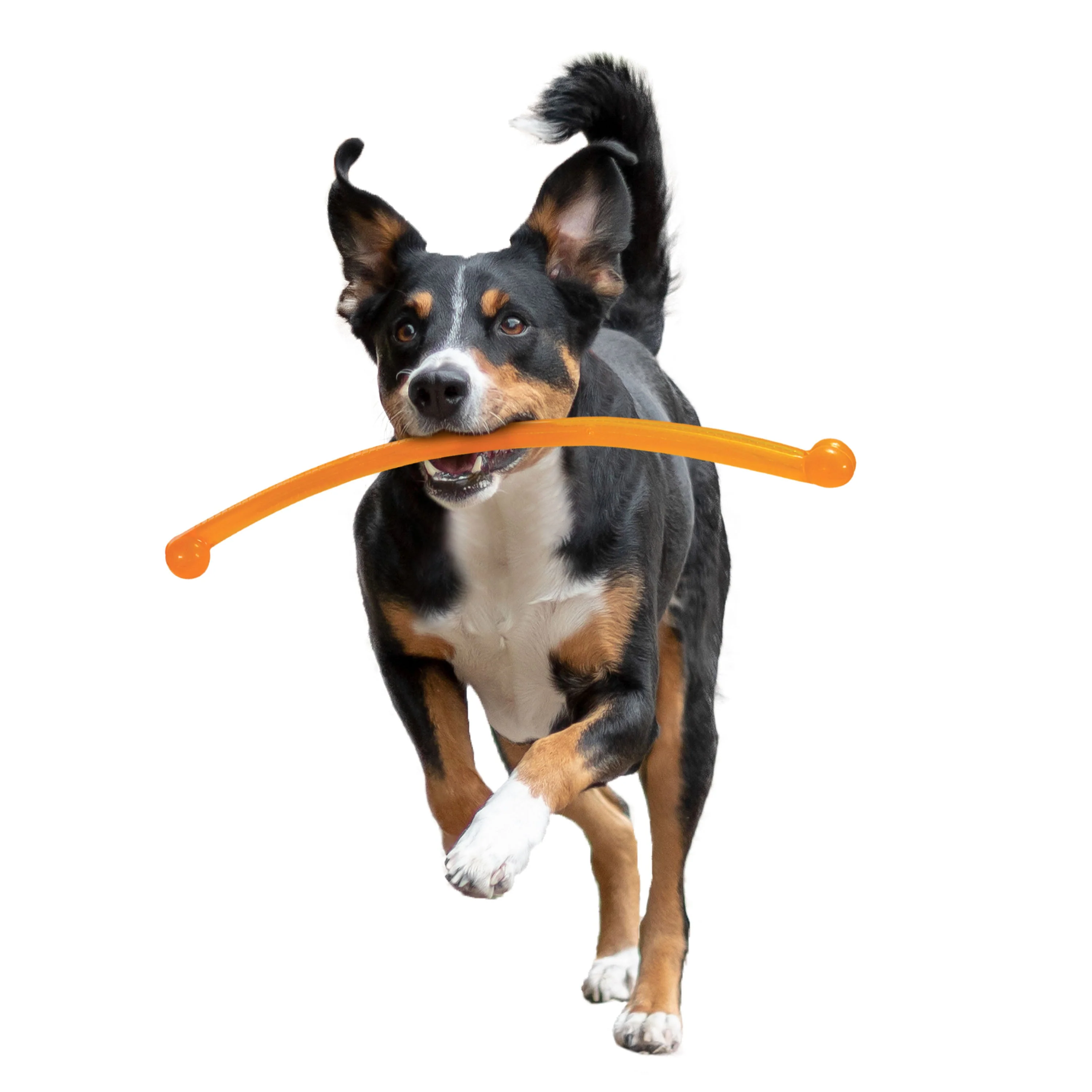 Nylabone Power Play Crazy Stick Dog Toy 1ea/1 ct - Image 9