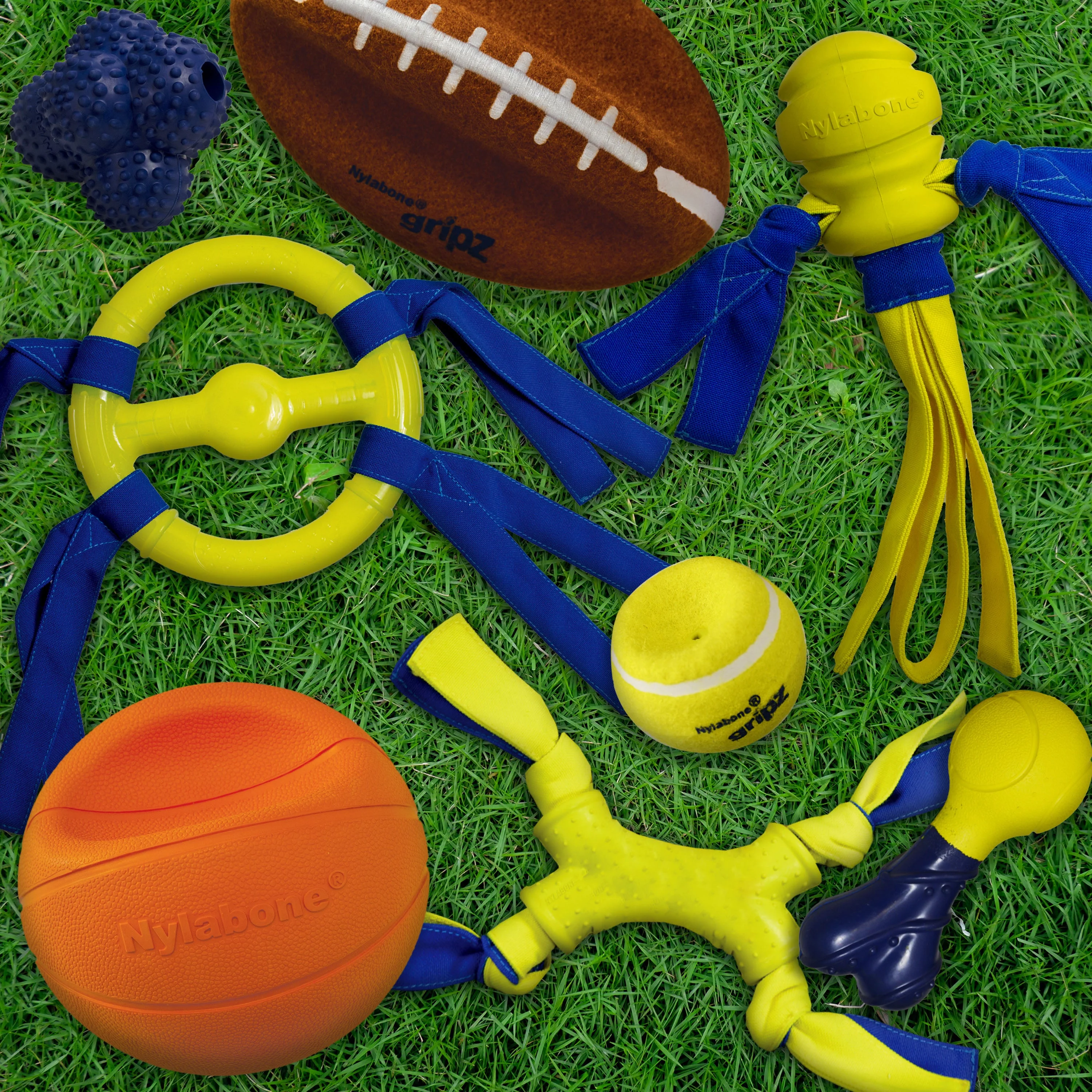 Nylabone Power Play FlingaBounce Interactive Dog Toy 1ea/Large/Giant  Up To 50 Lbs. 1 ct - Image 5