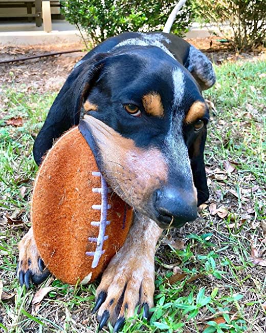 Nylabone Power Play Dog Football Gripz 1ea/Medium/Wolf Up To 35 Lbs. 5.5 in 1 ct - Image 5