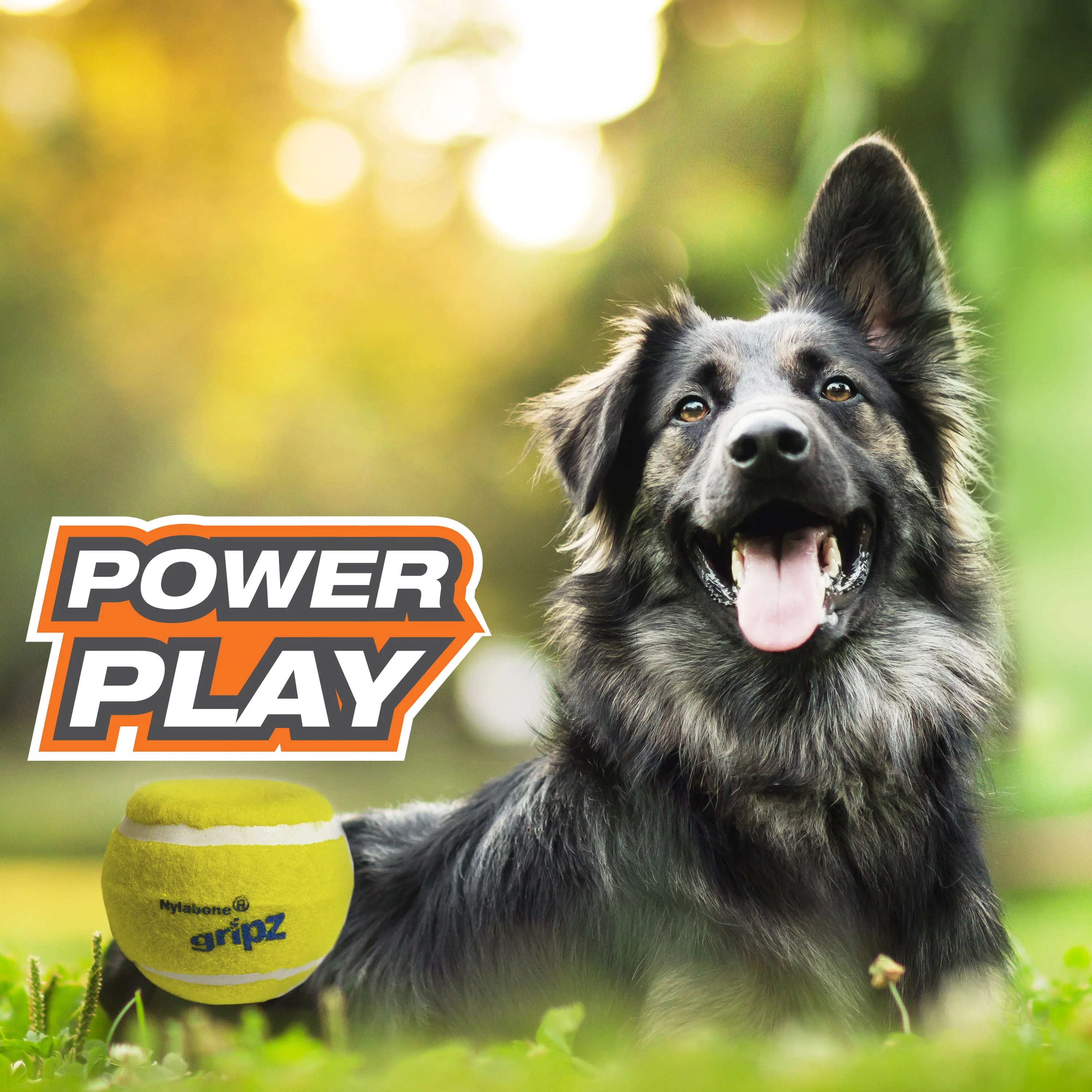 Nylabone Power Play Dog Tennis Ball Gripz 1ea/Large/Giant - Up To 50 lb - Image 5