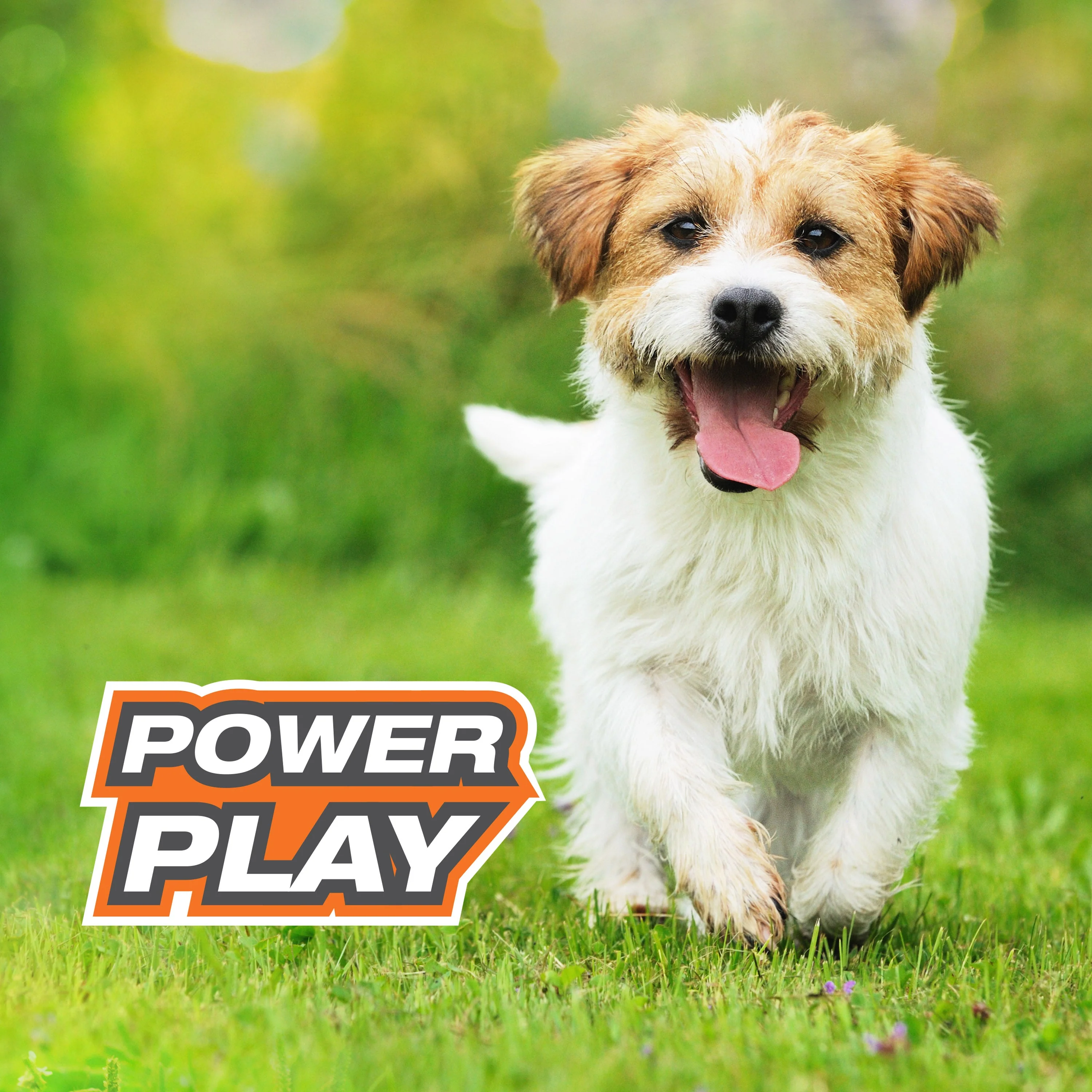 Nylabone Power Play Interactive Dog Toy Shake-a-Toss 1ea/SMall/Regular - Up To 25 Ibs. - Image 6