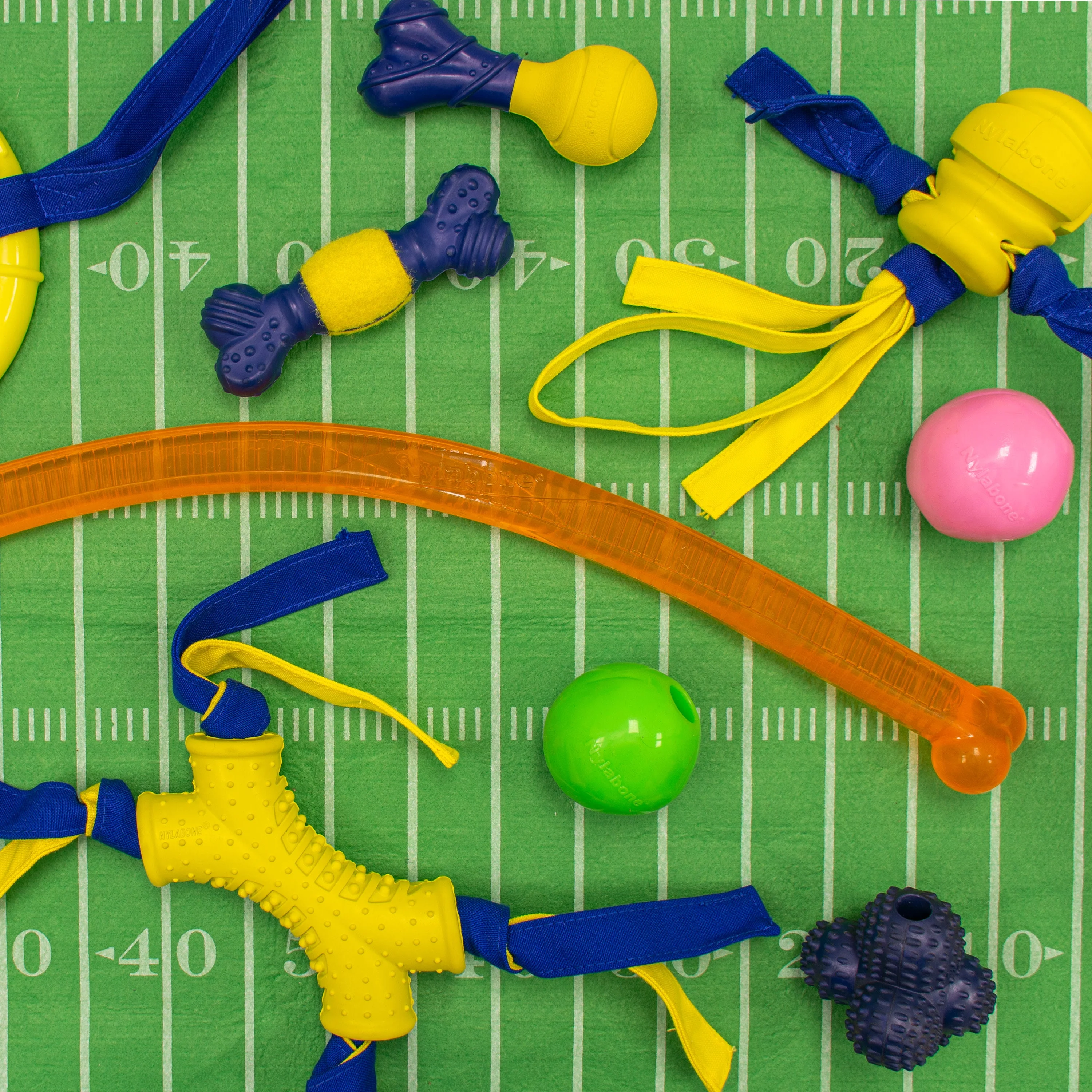 Nylabone Power Play Ring Thing Floatable Dog Toy 1ea/Medium/Wolf Up To 35 Lbs. 1 ct - Image 3