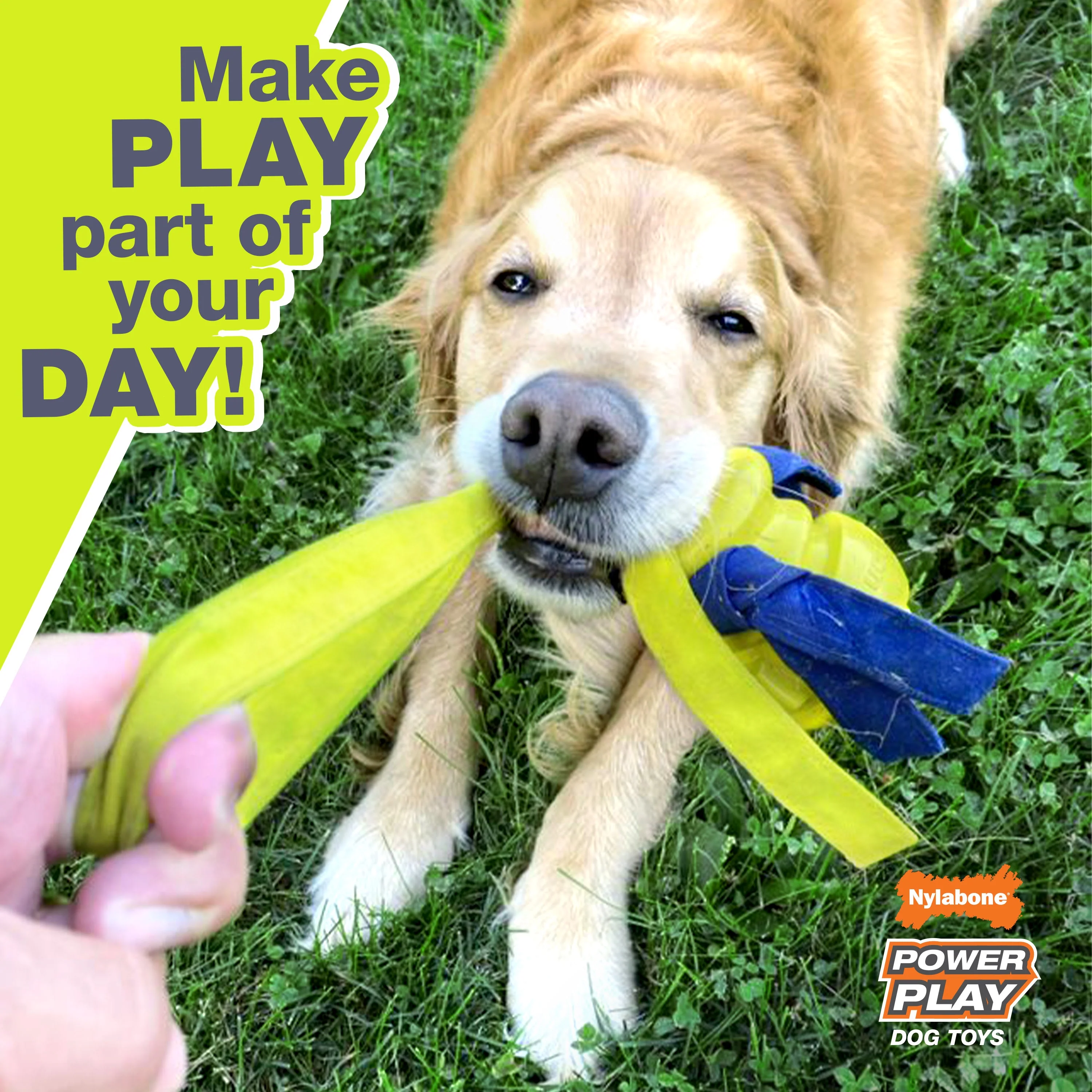 Nylabone Power Play Ring Thing Floatable Dog Toy 1ea/Medium/Wolf Up To 35 Lbs. 1 ct - Image 4