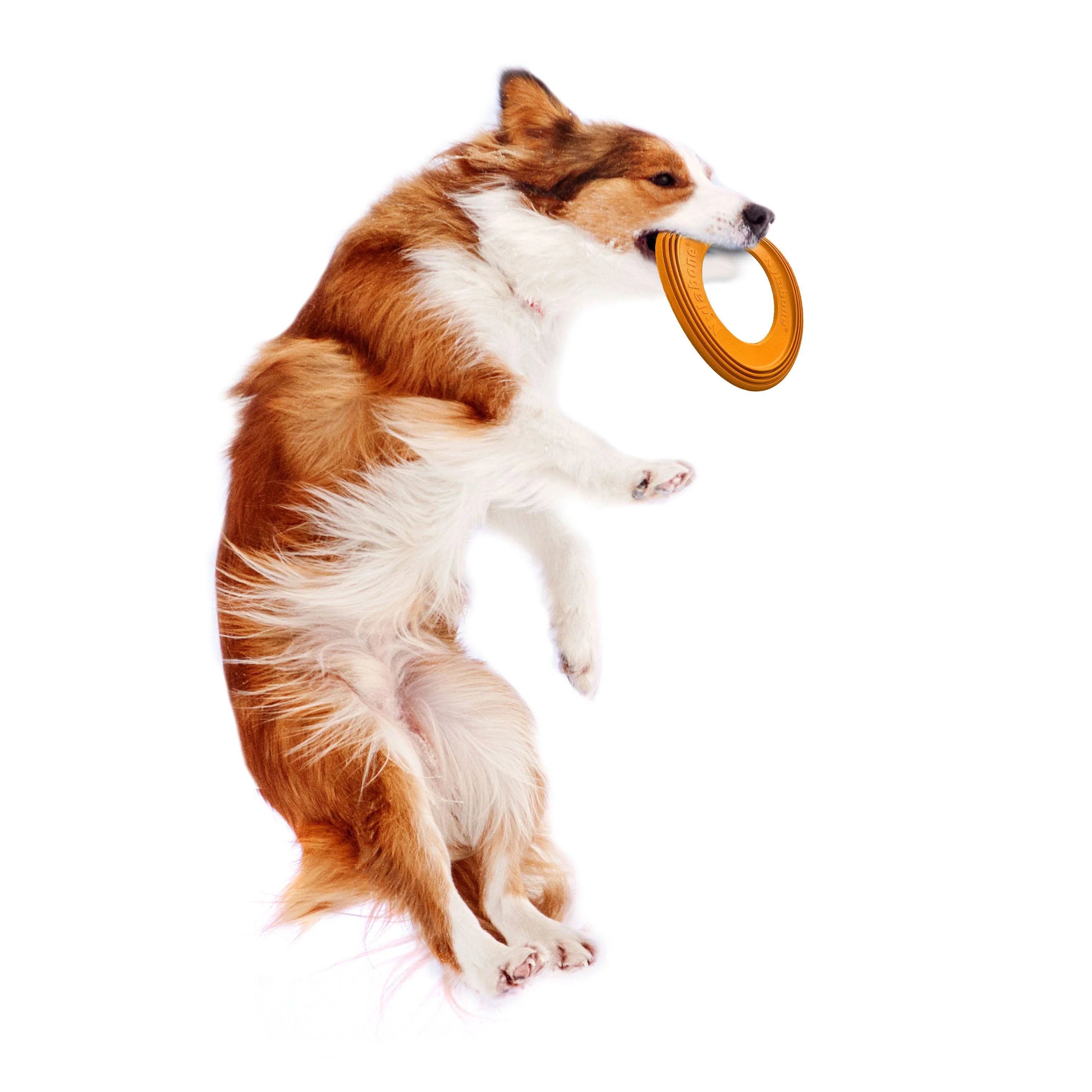 Nylabone Power Play Super Flyer Gripz Disc for Dogs 1ea - Image 10