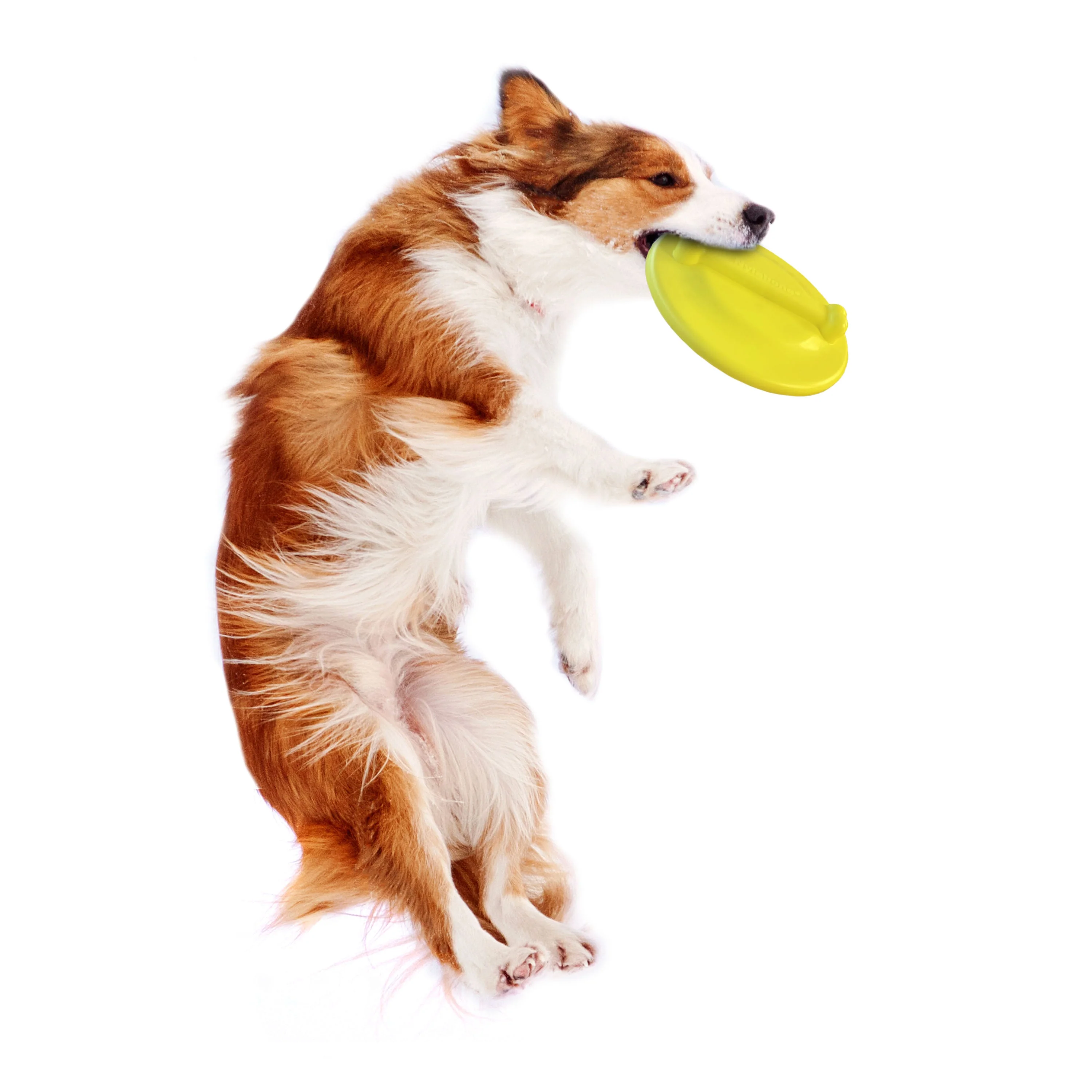 Nylabone Power Play Ultra Glider Gripz Dog Flying Disc 1ea/Large/Giant - Up To 50 lb - Image 9