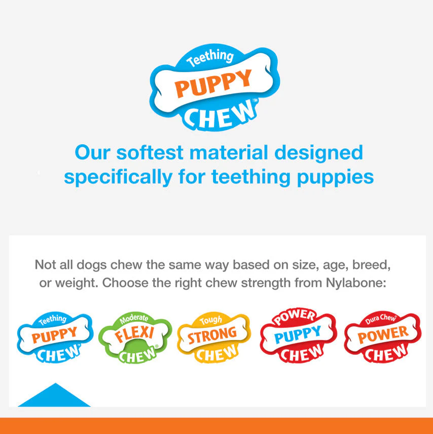 Nylabone Puppy Pacifier Teething Toy Bacon, 1ea/SMall/Regular Up To 25 Ibs. 1 ct - Image 3