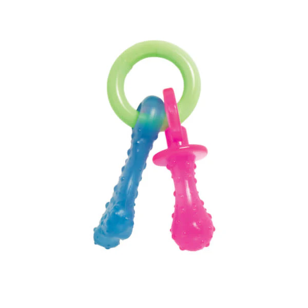 Nylabone Puppy Pacifier Teething Toy Bacon, 1ea/SMall/Regular Up To 25 Ibs. 1 ct - Image 9
