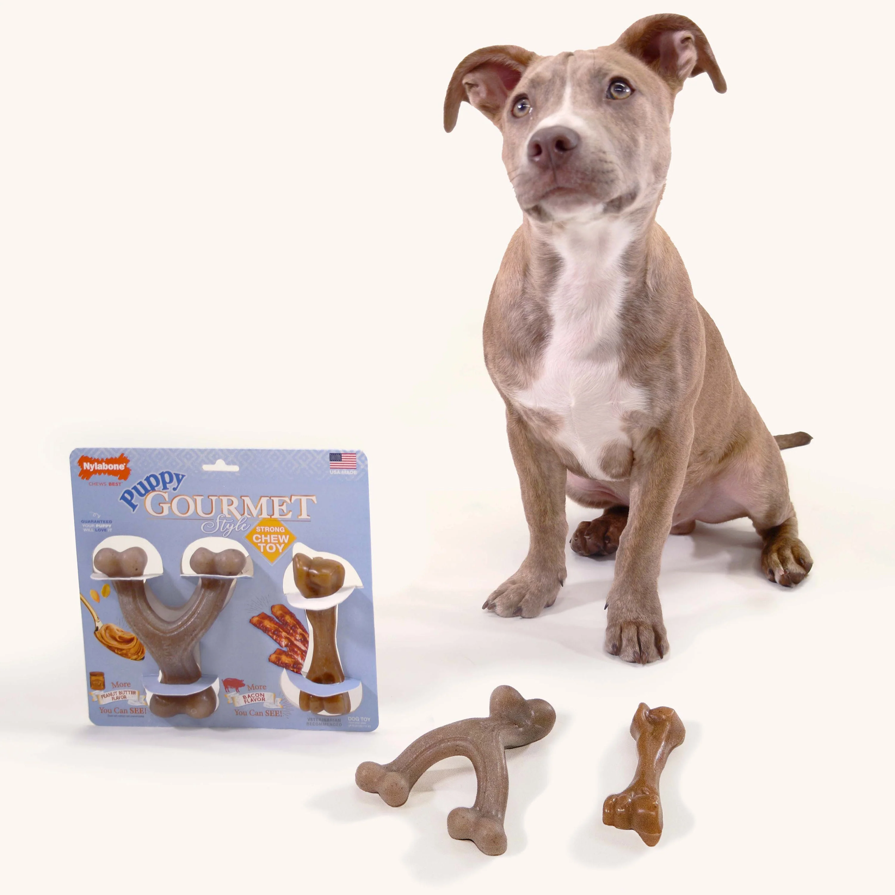 Nylabone Gourmet Style Puppy Chew Toy Twin Pack Peanut Butter Bacon, 1ea/SMall/Regular Up To 25 Ibs. 2 ct - Image 2