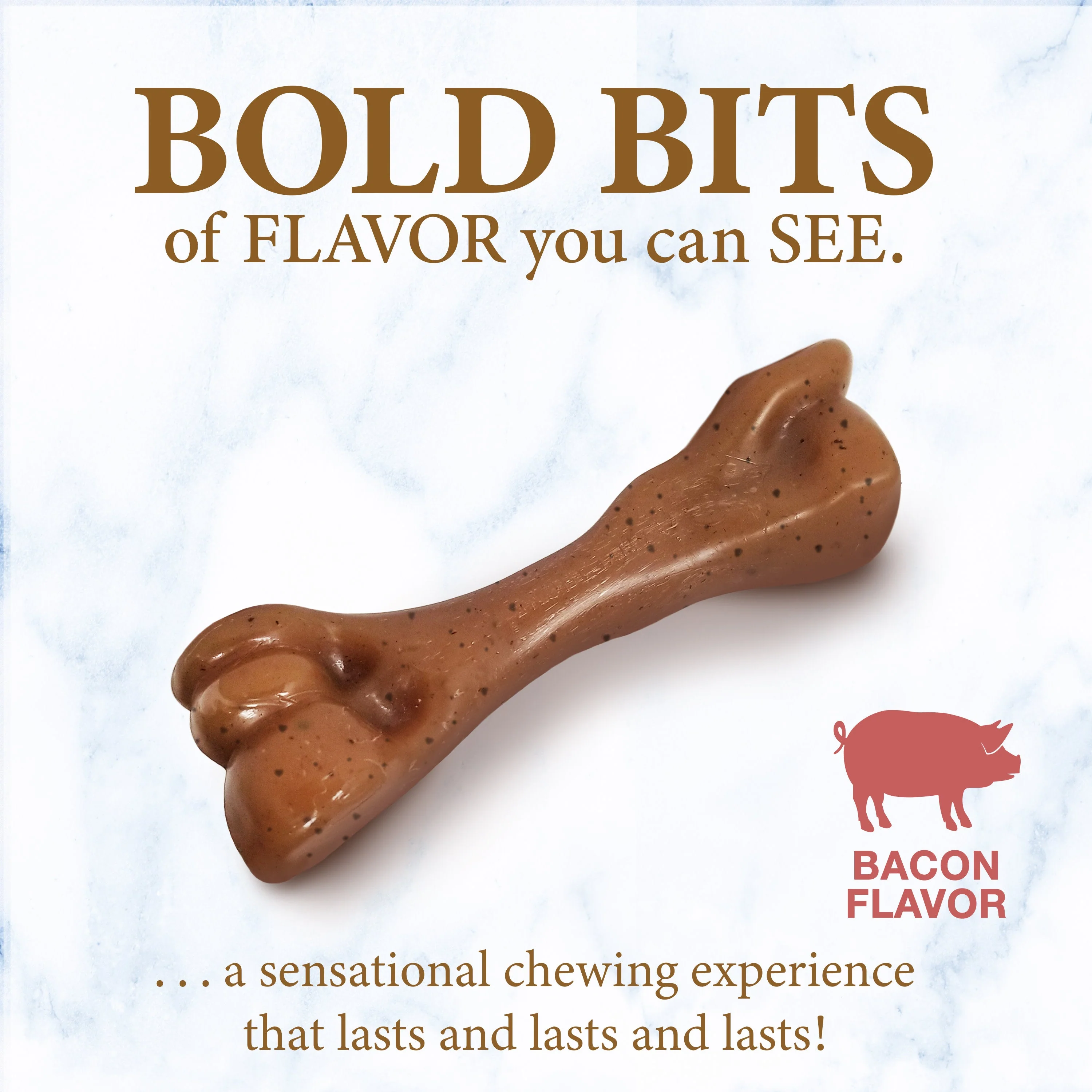 Nylabone Gourmet Style Strong Femur Puppy Chew Toy Bacon, 1ea/SMall/Regular  Up To 25 Ibs. 1 ct - Image 3