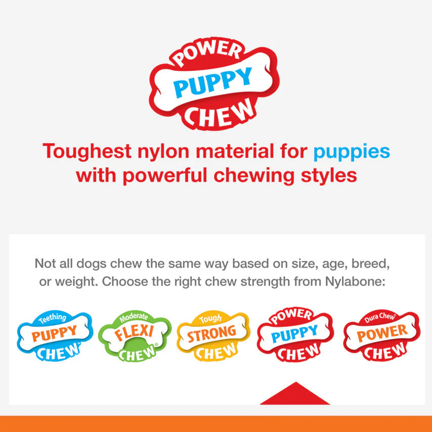 Nylabone Textured Nylon Puppy Chew Toy Beef & Vegetable 1ea/Large/Giant - Up To 50 lb - Image 4