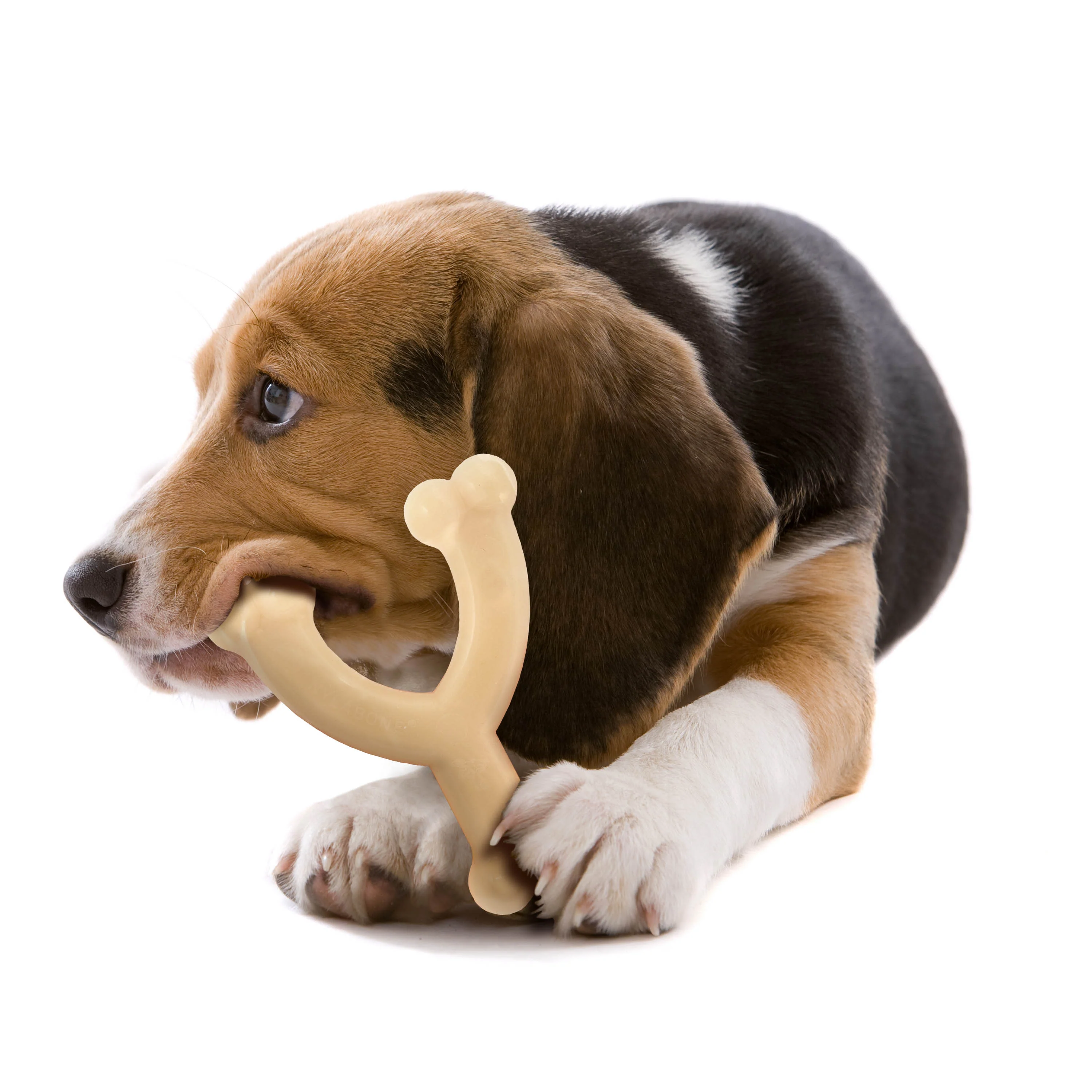 Nylabone Power Chew Original Wishbone Dog Toy Adult Dog Original, Original, 1ea/Medium/Wolf  Up To 35 Lbs. 1 ct - Image 7