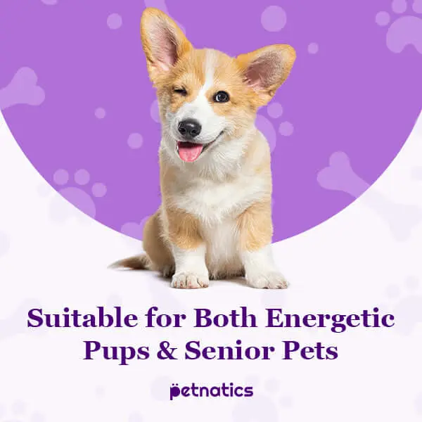PawBalm ReducedSlip Paw Balm - Image 10