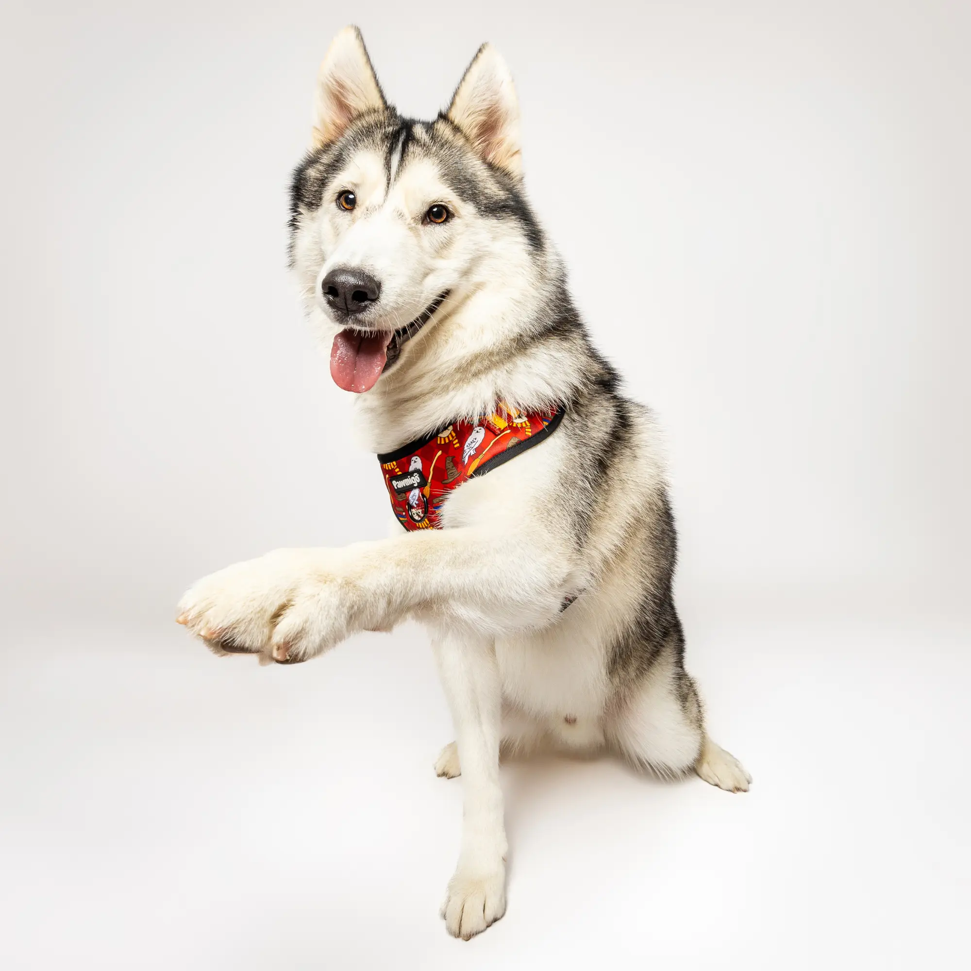 Pawgwarts Everyday Adjustable No-Pull Dog Harness - Image 6