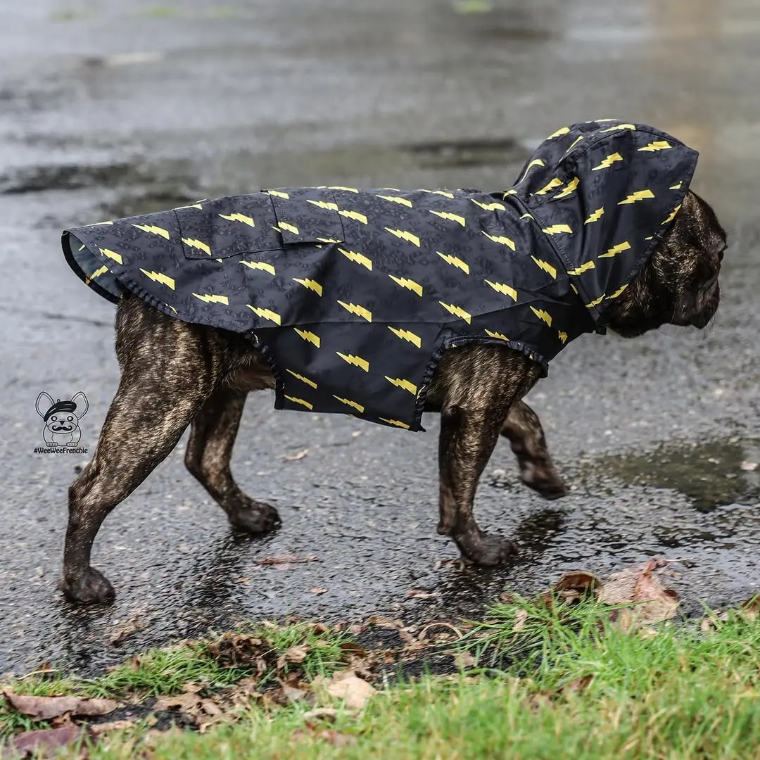 Pawgwarts Poncho - Image 4