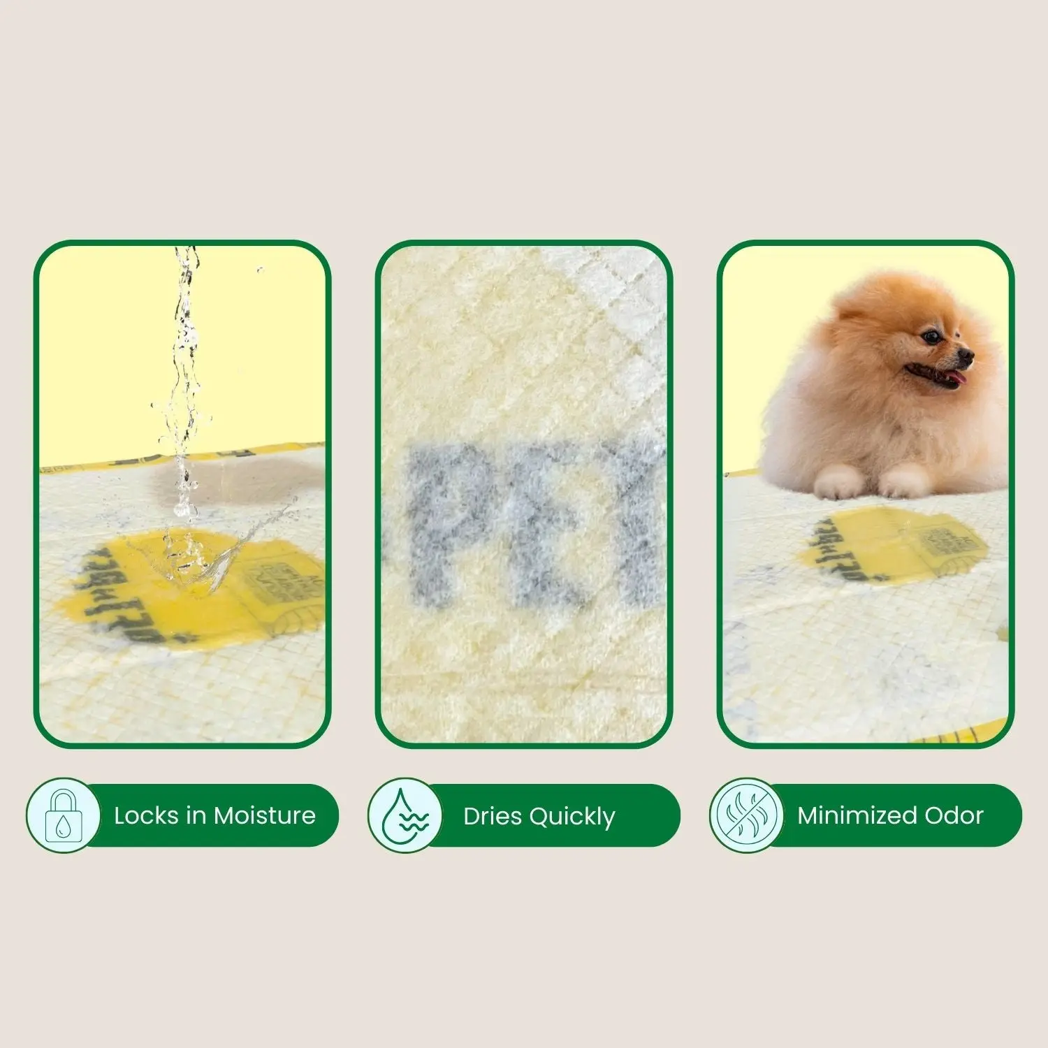 Pee Pads for Dogs - Image 5