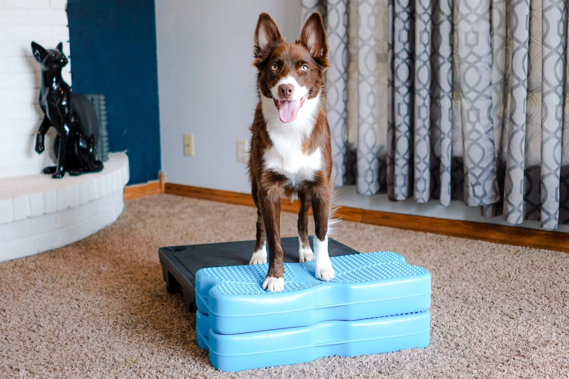 Propel Air Platform - Image 12