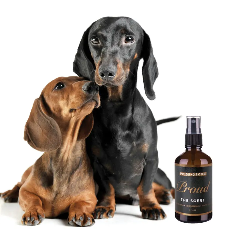 PROUD Signature Scent - Image 2