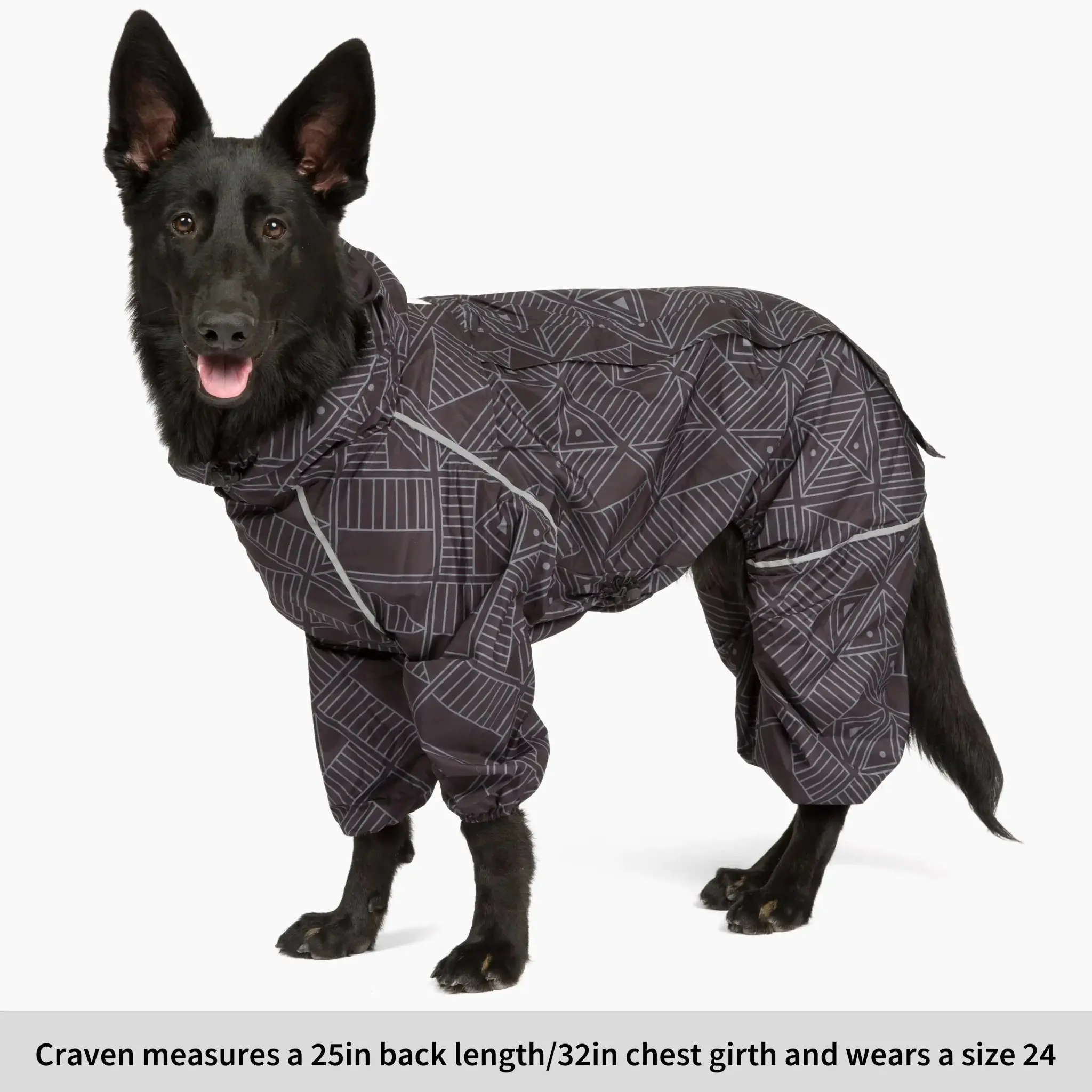 Puddle Jumper Dog Raincoats - Image 8