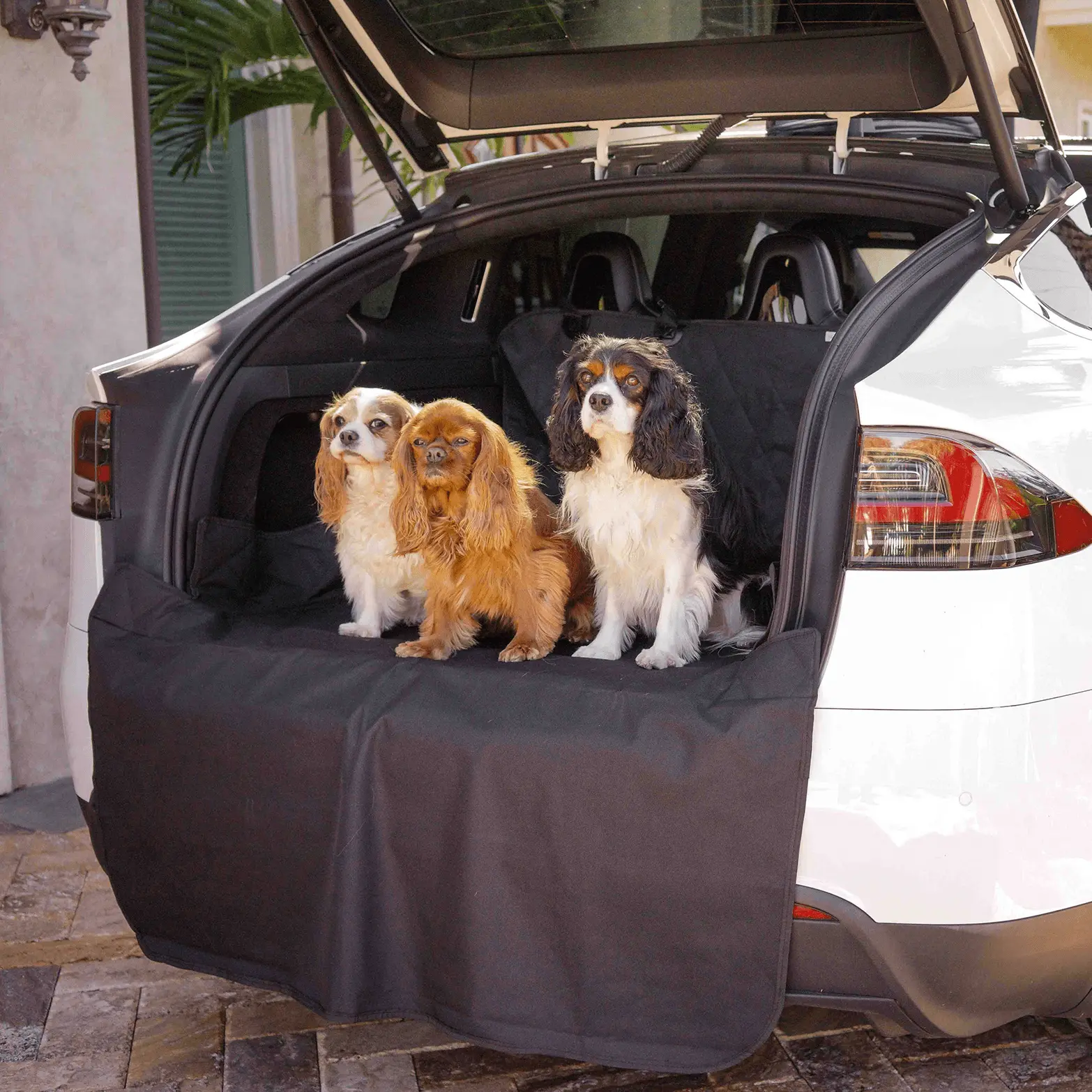 PupProtector™ Cargo Cover Liner for SUVs and Cars - Image 4