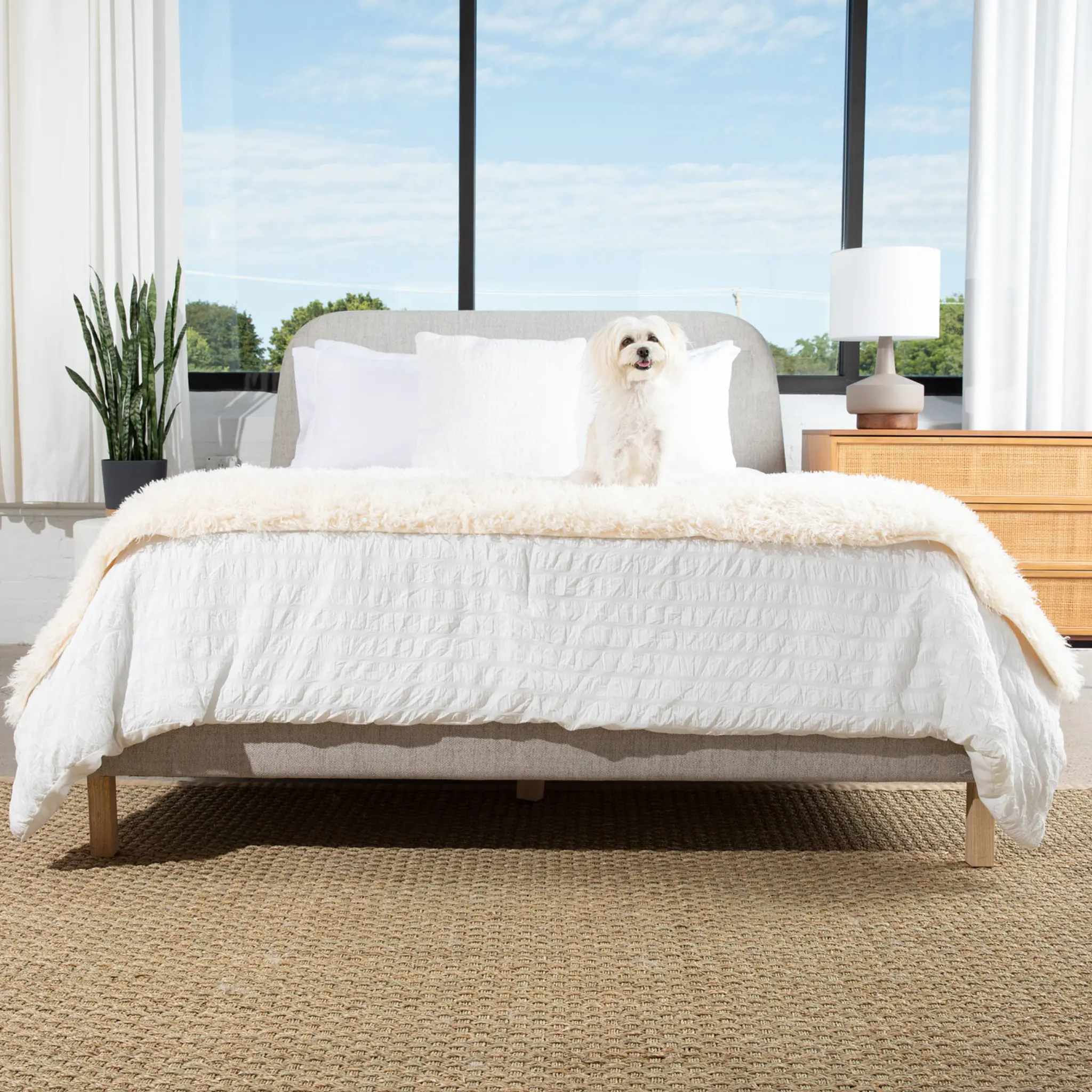 PupProtector™ Luxe Waterproof Bed Runner - Plush Sheep Ivory - Image 8