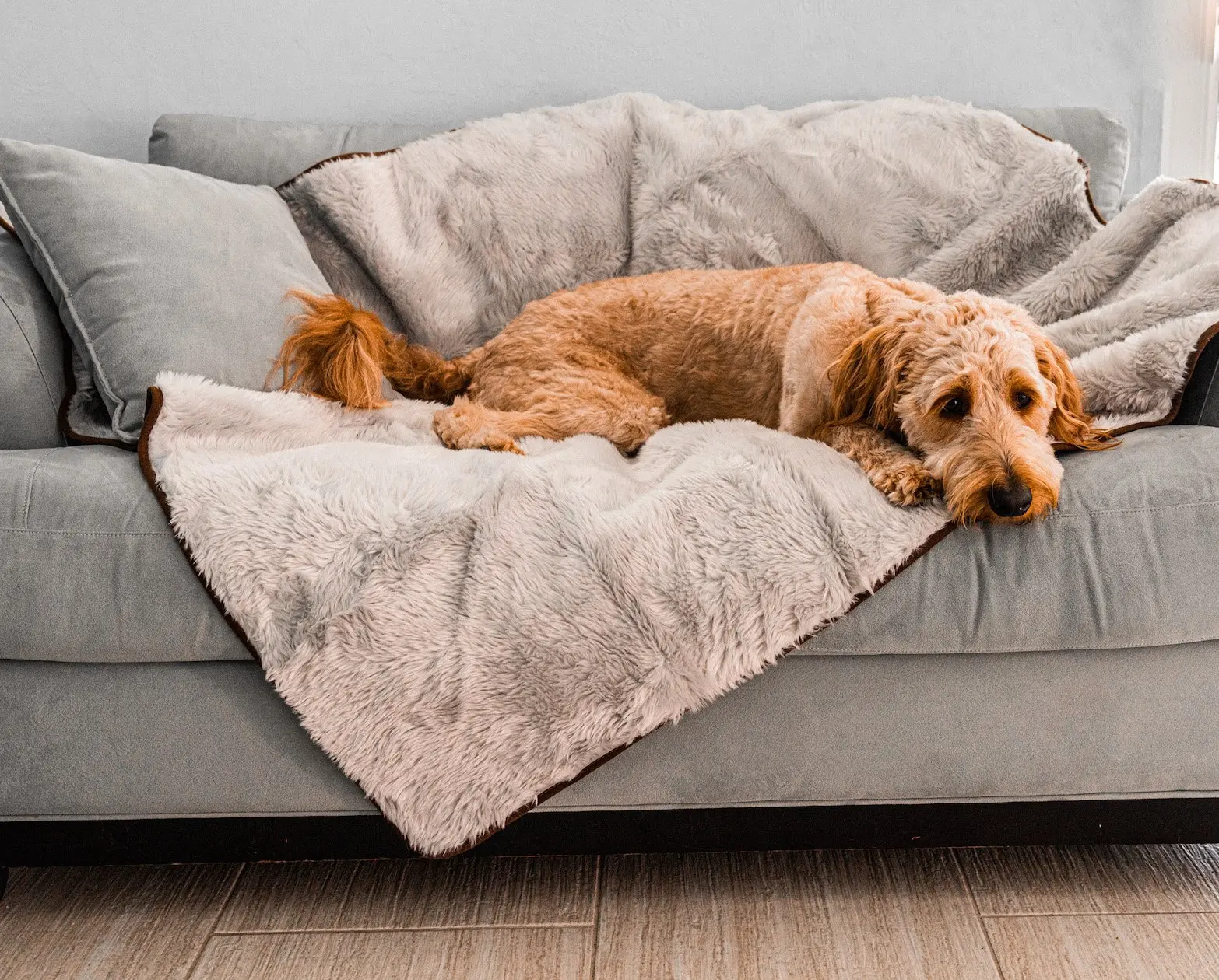 PupProtector™ Short Fur Waterproof Throw Blanket - Grey - Image 6