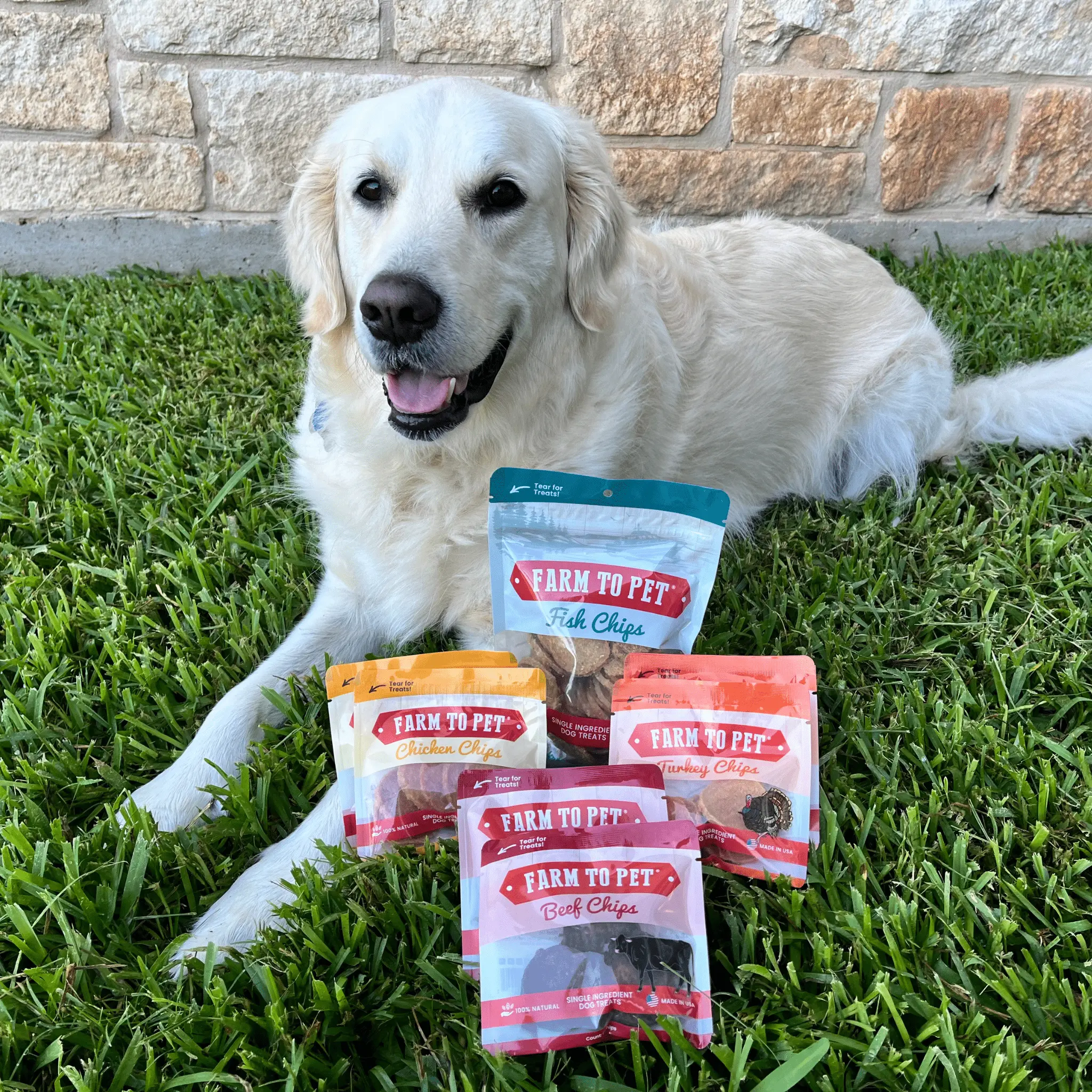Puppy Packs 'n Snacks Dog Treat Starter Pack | Single-Ingredient Training Treats - Image 19