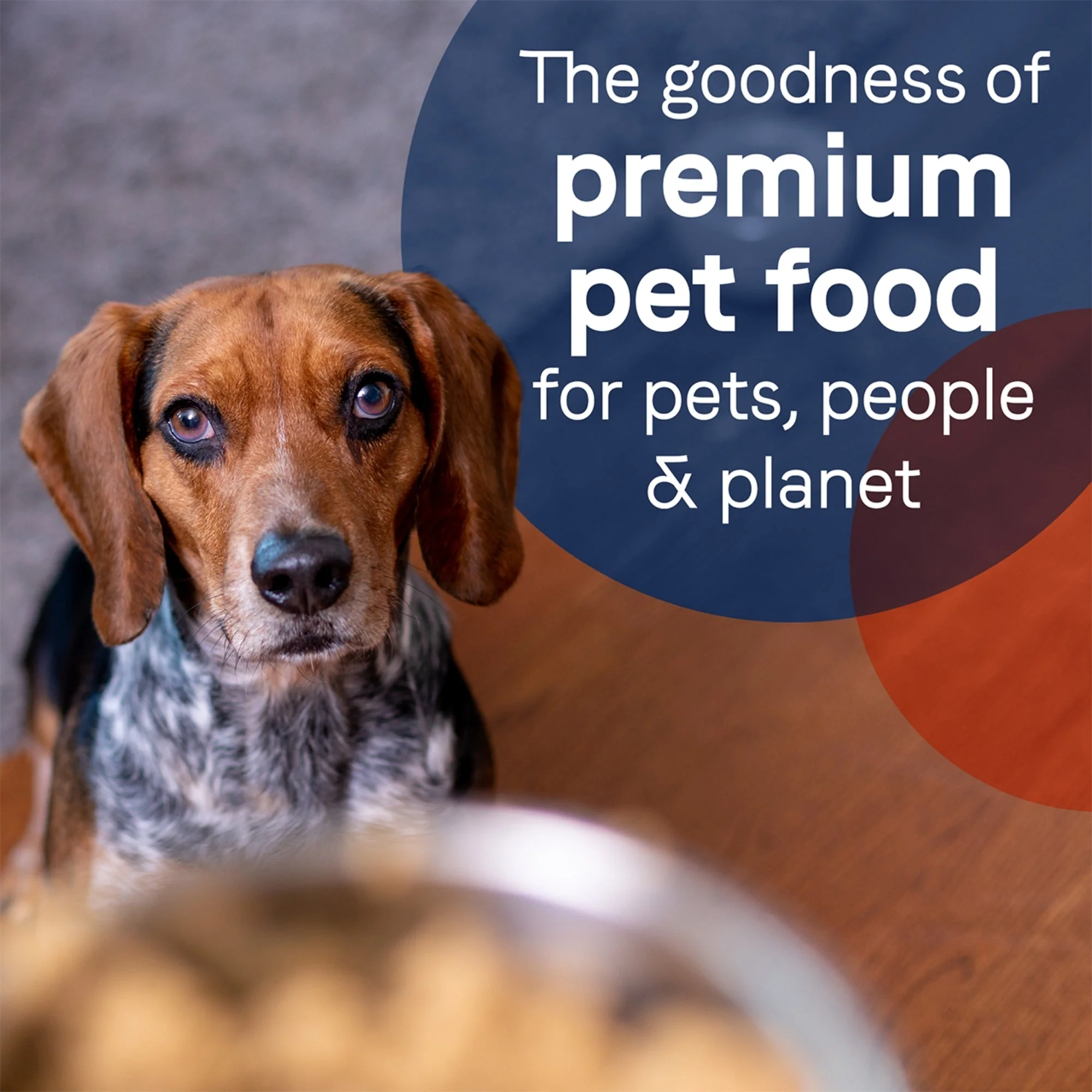CANIDAE PURE Goodness GrainFree LID Canned Dog Food Elements Formula w/Lamb, Turkey  Chicken, 12ea/13 oz - Image 2