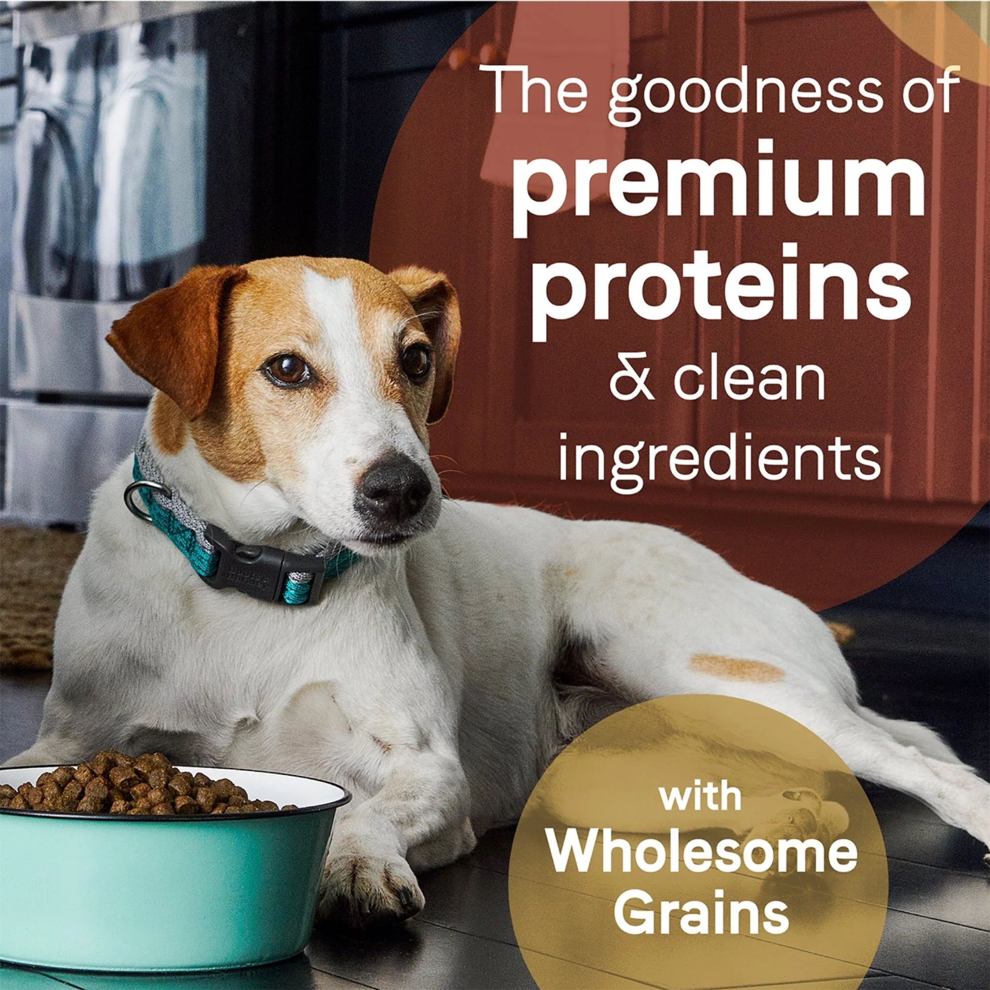 CANIDAE PURE Farm To Bowl  w/Wholesome Grains Dry Dog Food Beef  Barley, 1ea/4 lb - Image 2