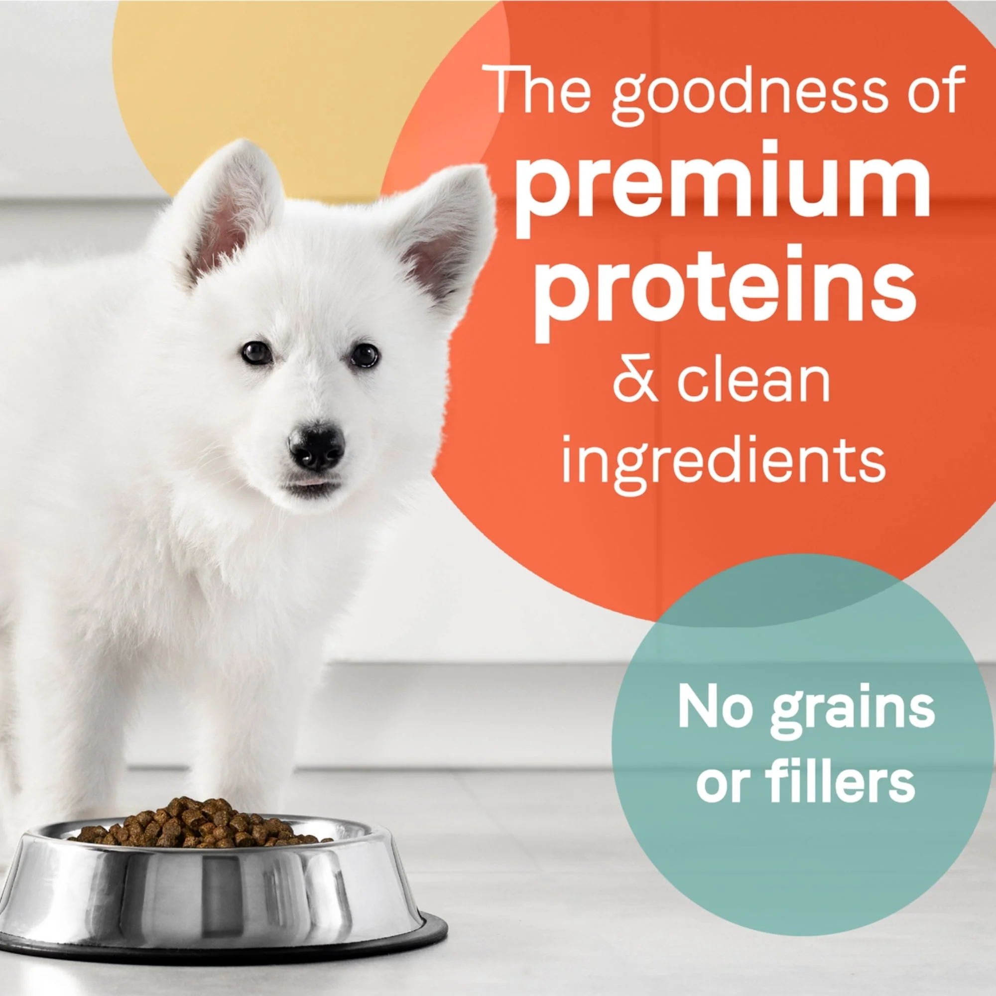 CANIDAE PURE Farm To Bowl GrainFree LID Dry Puppy Food Wild  Caught Salmon  Sweet Potato, 1ea/4 lb - Image 2