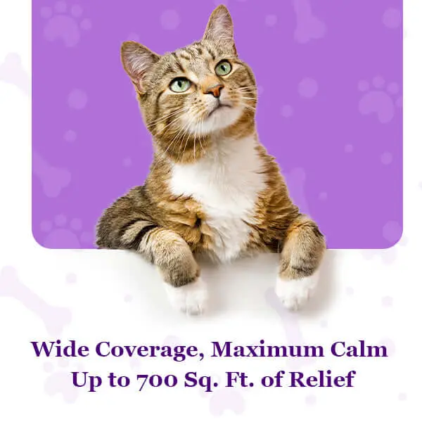 Purrfect Cat Calming Diffuser Kit with 2 Refills - Image 11