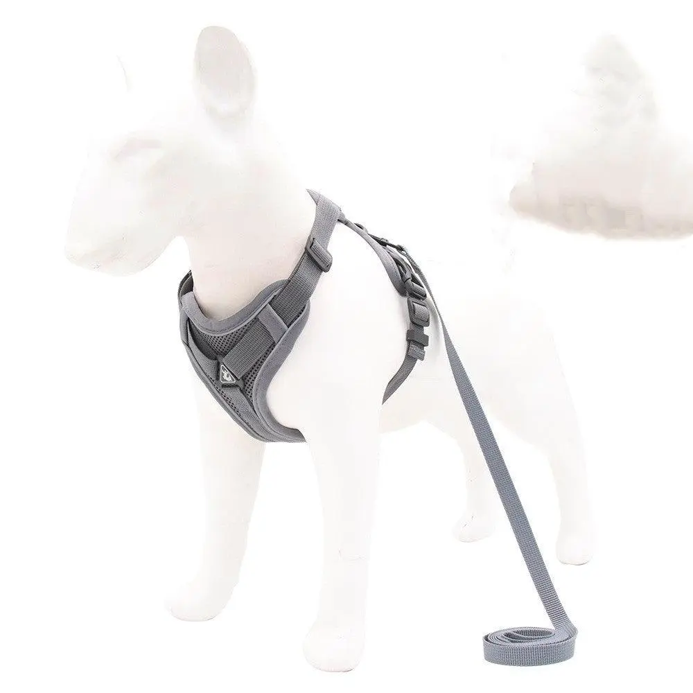 Reflective Adventure Dog Harness - Image 3