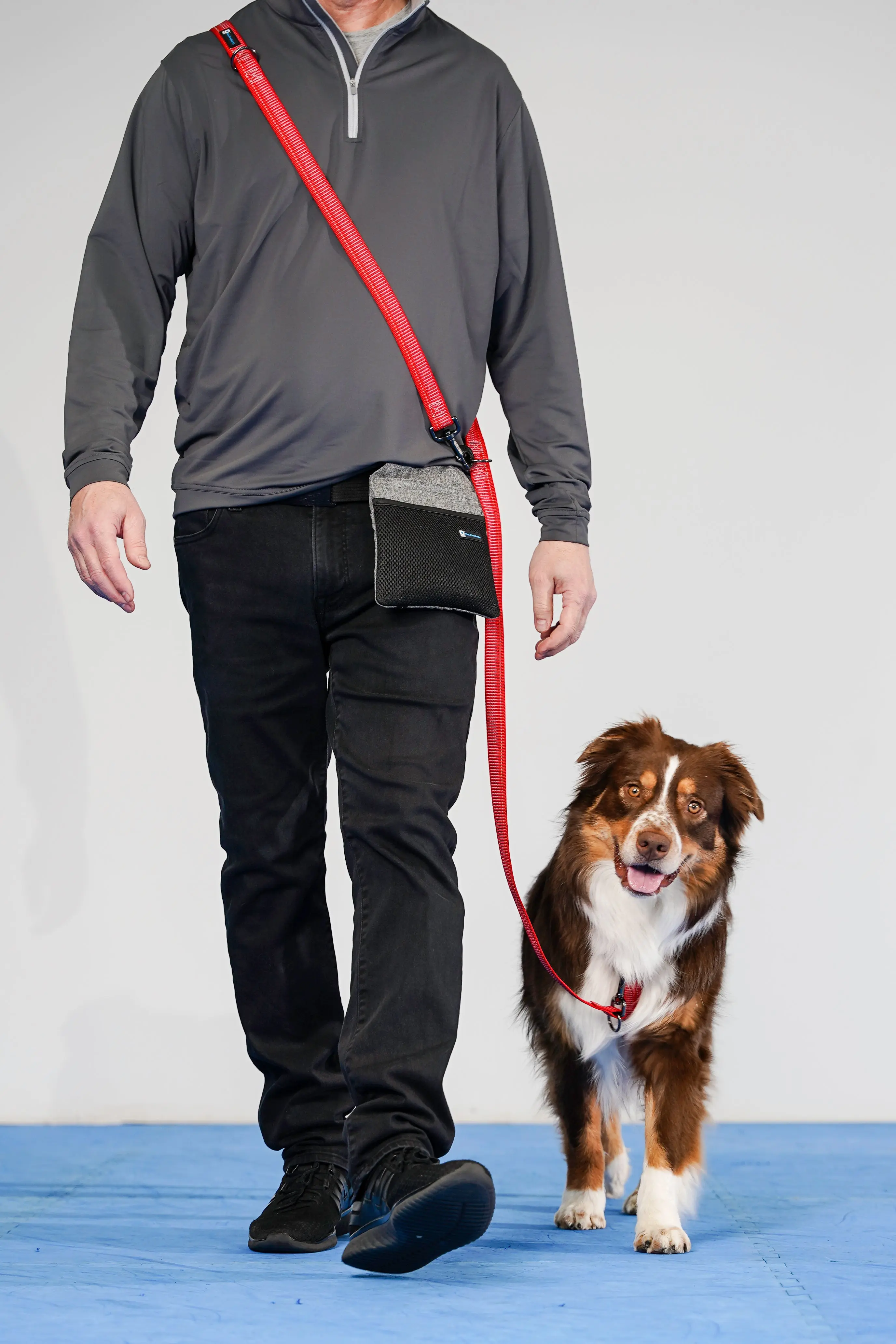 Reflective Multi-Function Leash - Image 8