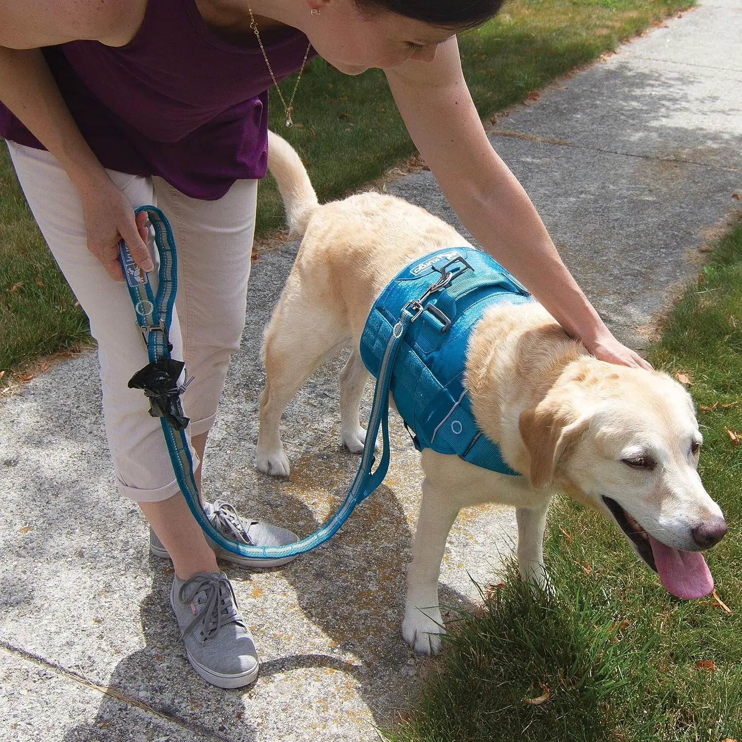 Rsg Stub Leash for Dogs | Adjustable Dog Leash | Hands Free Dog Leash for Walking, Jogging, or Running | Customizable Molle-Compatible Pet Lead | Training Handle | Web Keeper | Reflective | 48β - Image 5