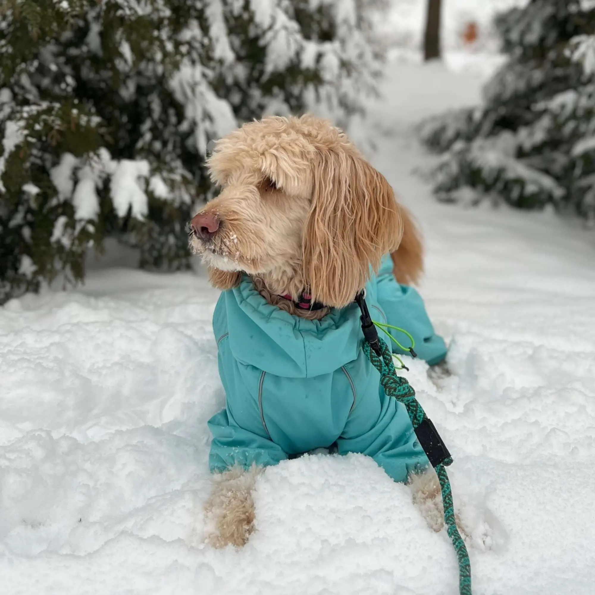 Snow Warrior Suit - Image 2
