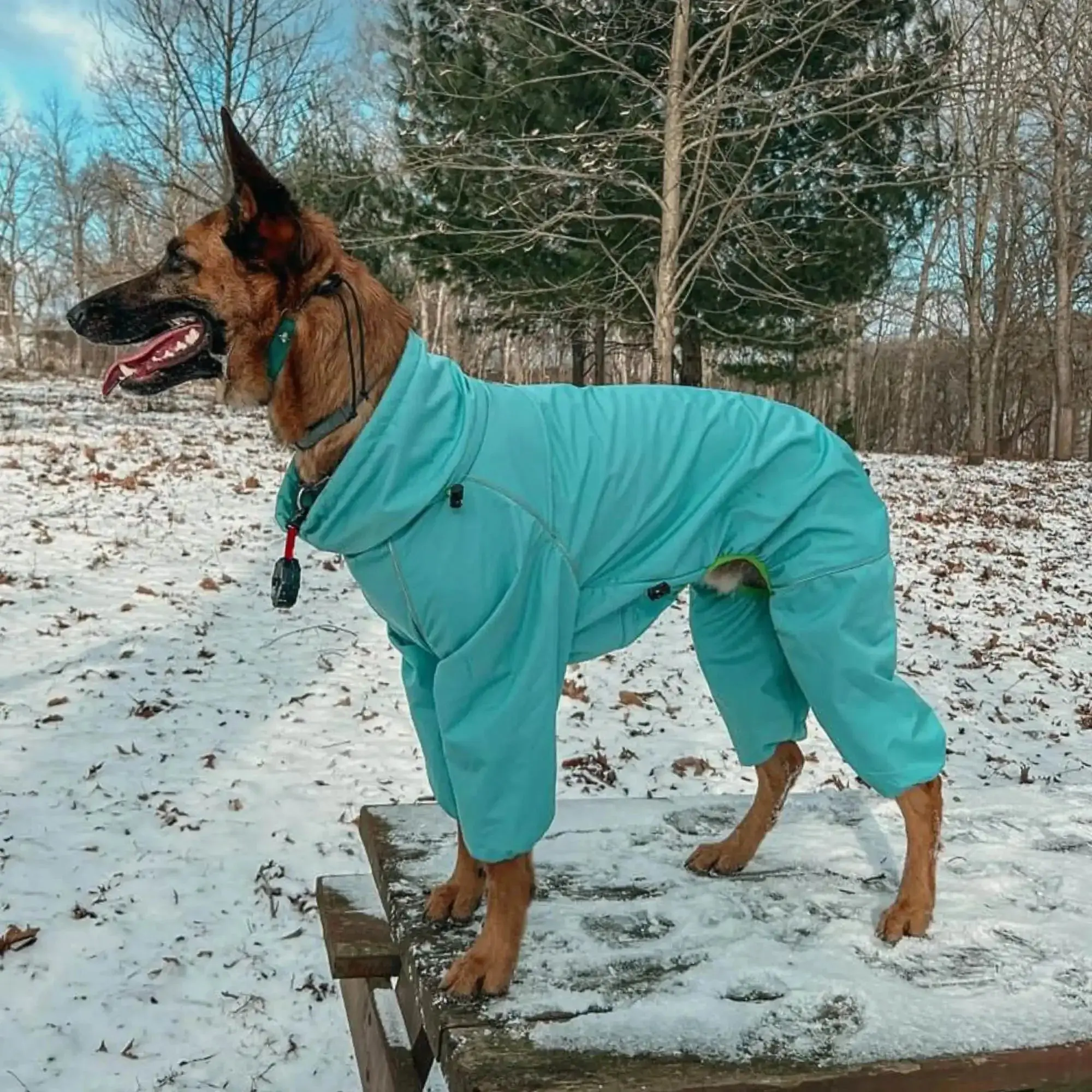 Snow Warrior Suit - Image 3