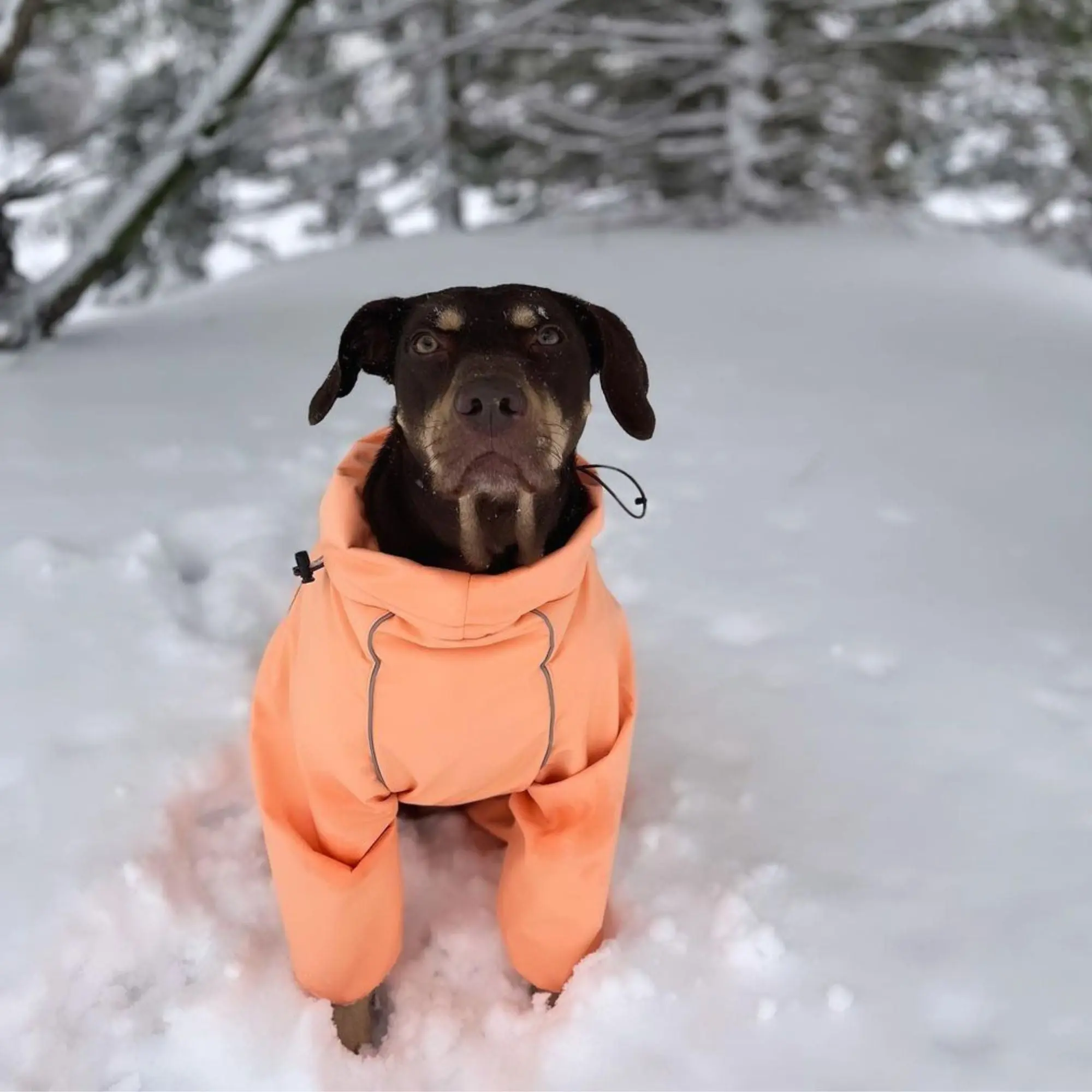 Snow Warrior Suit - Image 8