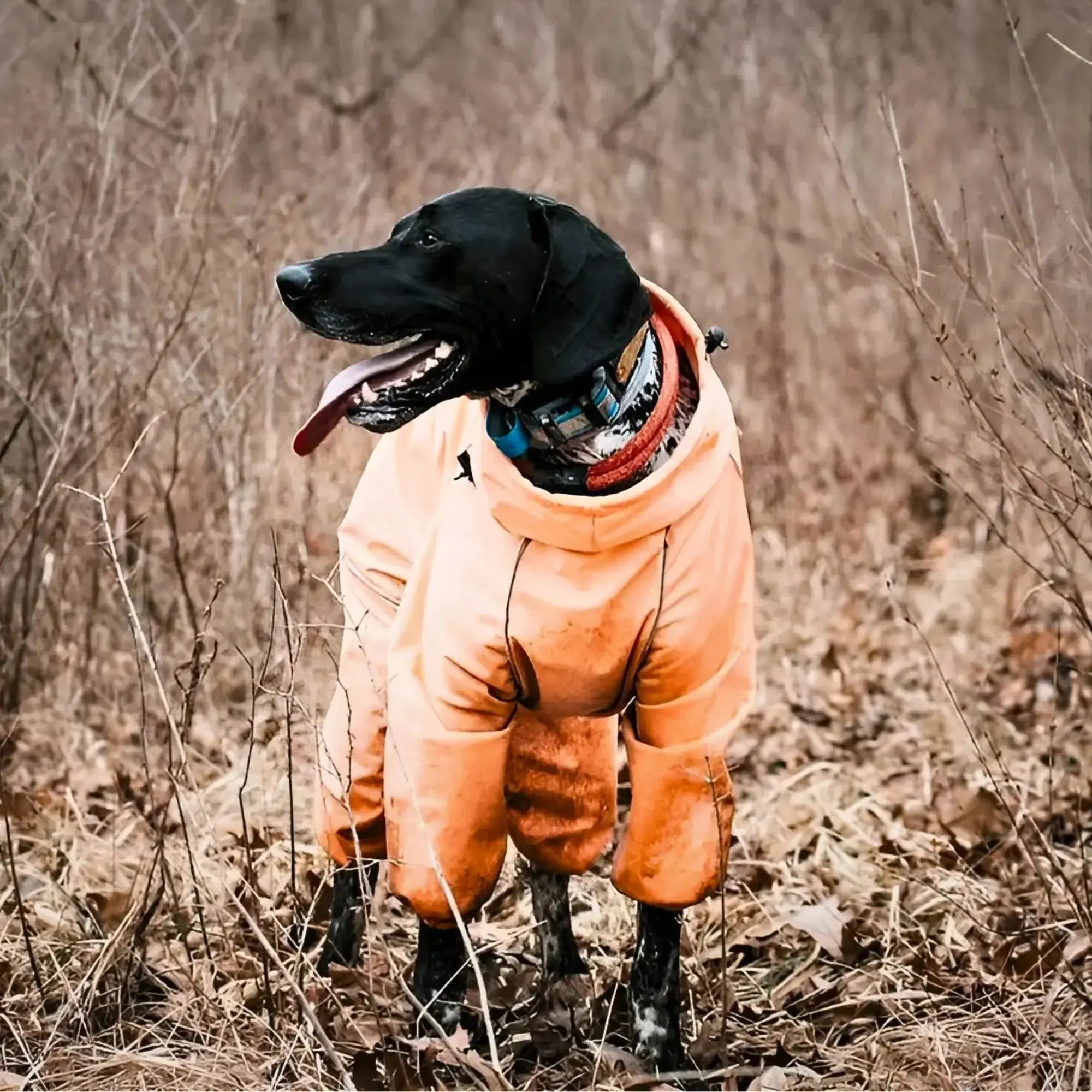 Snow Warrior Suit - Image 9