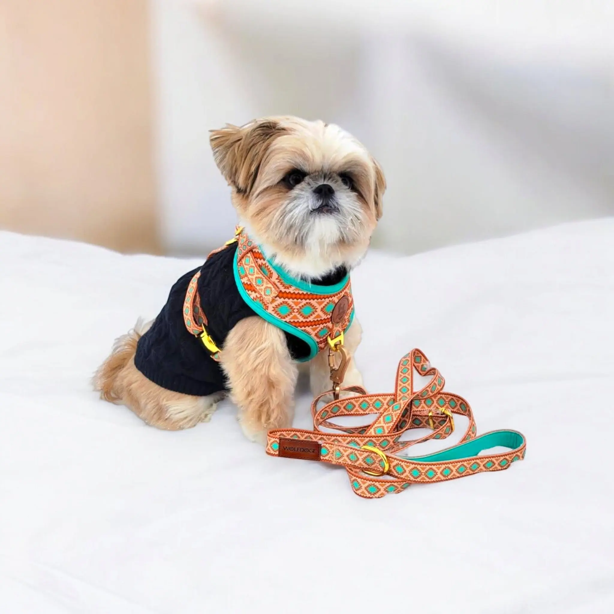 Southwest Spirit Leash - Image 5