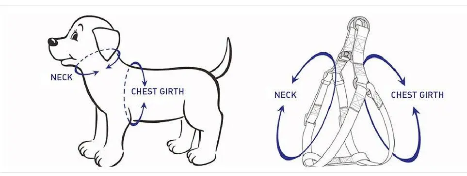 STEP IN HARNESS - BLUE GREY - Image 2