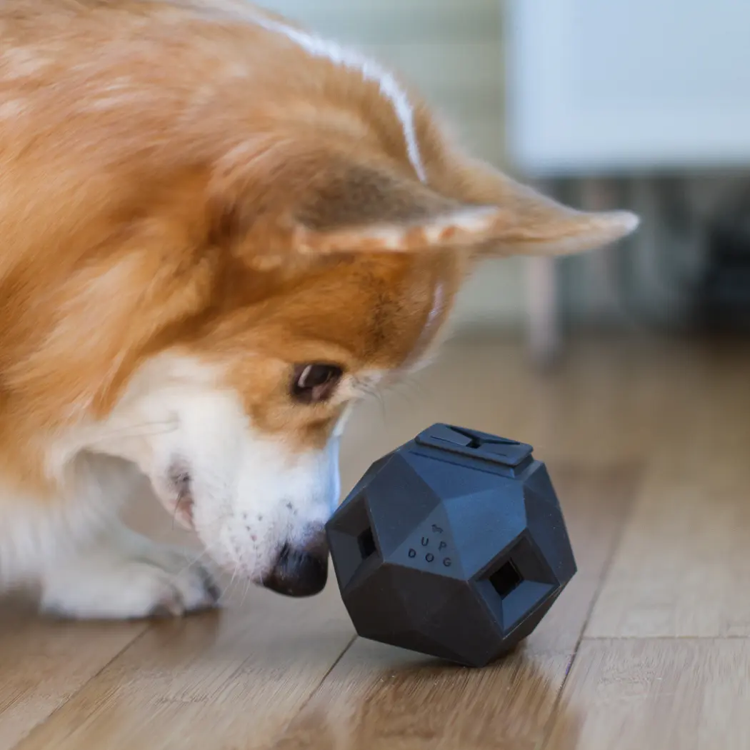 The Odin Treat Dispensing Toy For Dogs - Image 3