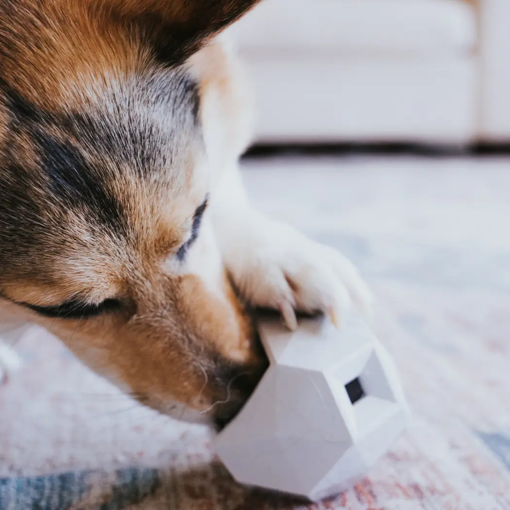 The Odin Treat Dispensing Toy For Dogs - Image 4