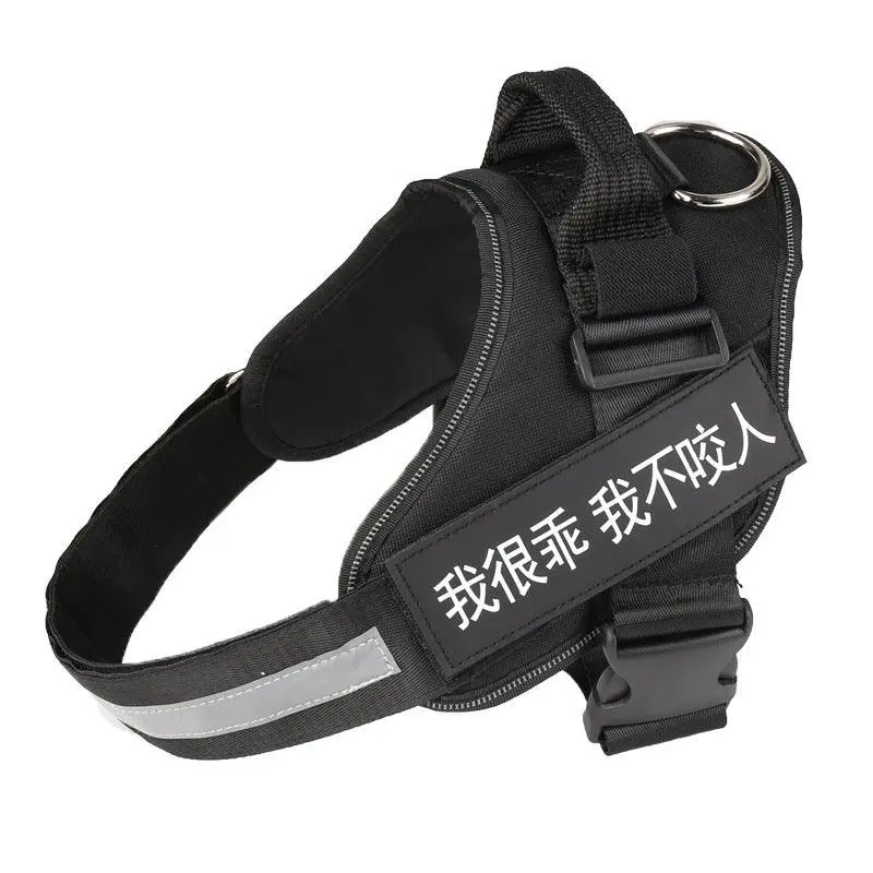 Ultimate Pet Adventure Set: Adjustable Chest Harness With Dog Leash - Image 4