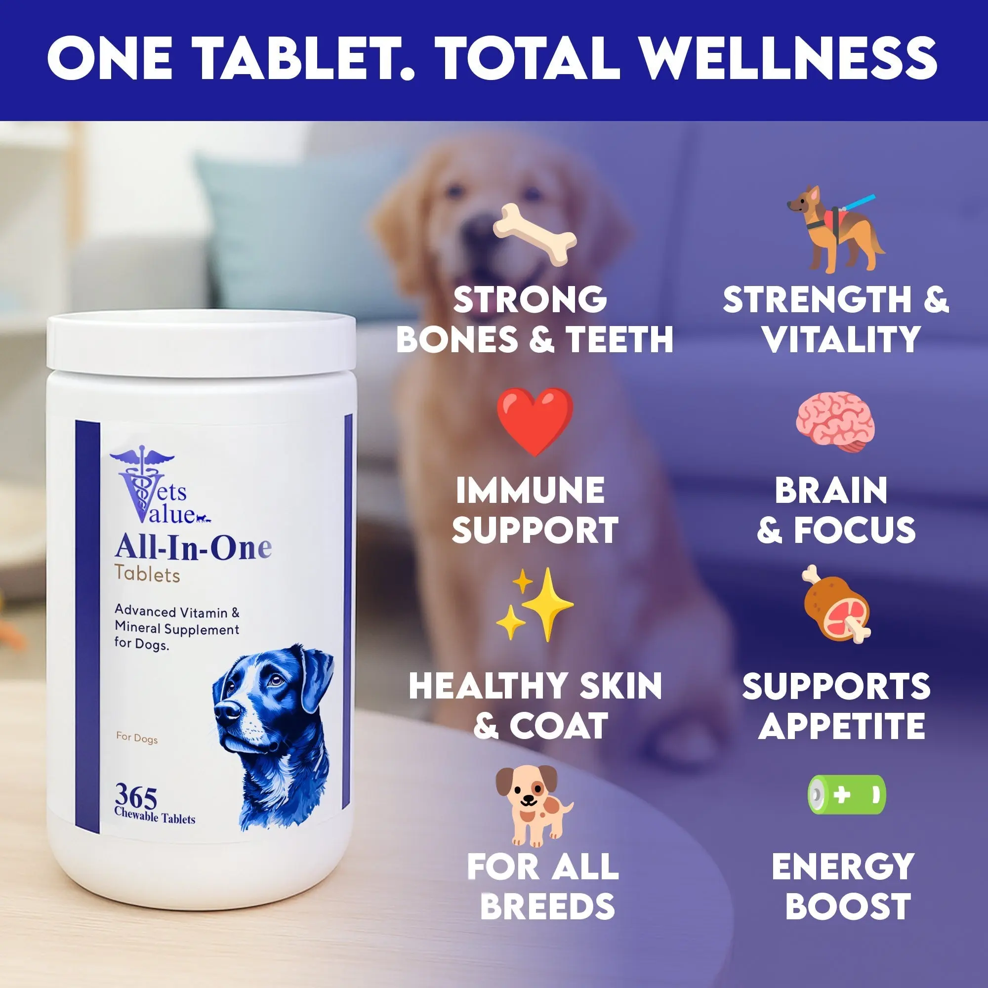 Vets Value All-in-One Dog Vitamins β 365 Chewable Tablets β Advanced Multivitamin & Mineral Supplement for Dogs β Supports Joints, Immunity, Skin & Coat β Daily Wellness for All Breeds - Image 4